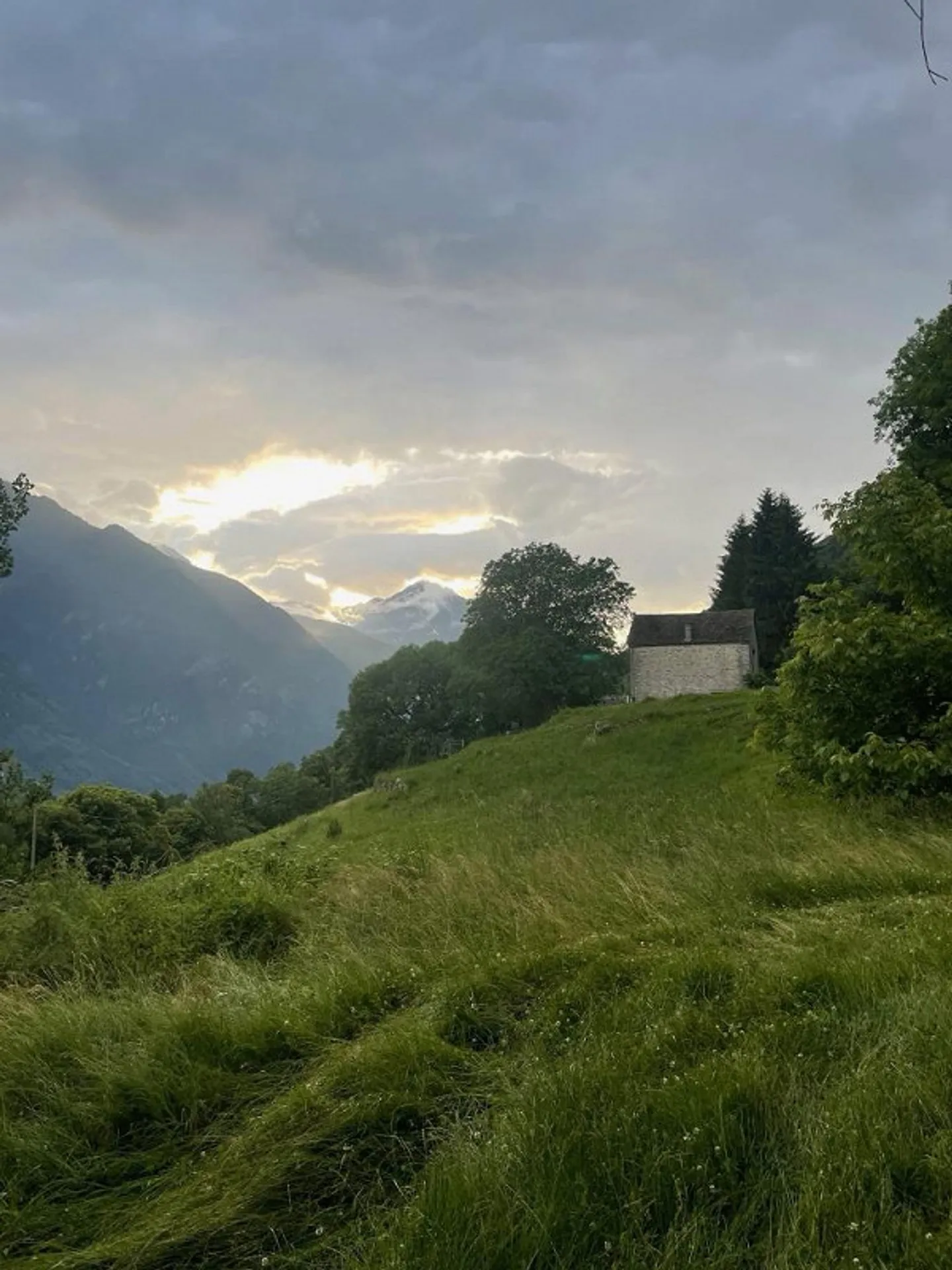 SHADOW OF THE CHESTNUT - Photo 21 of 25