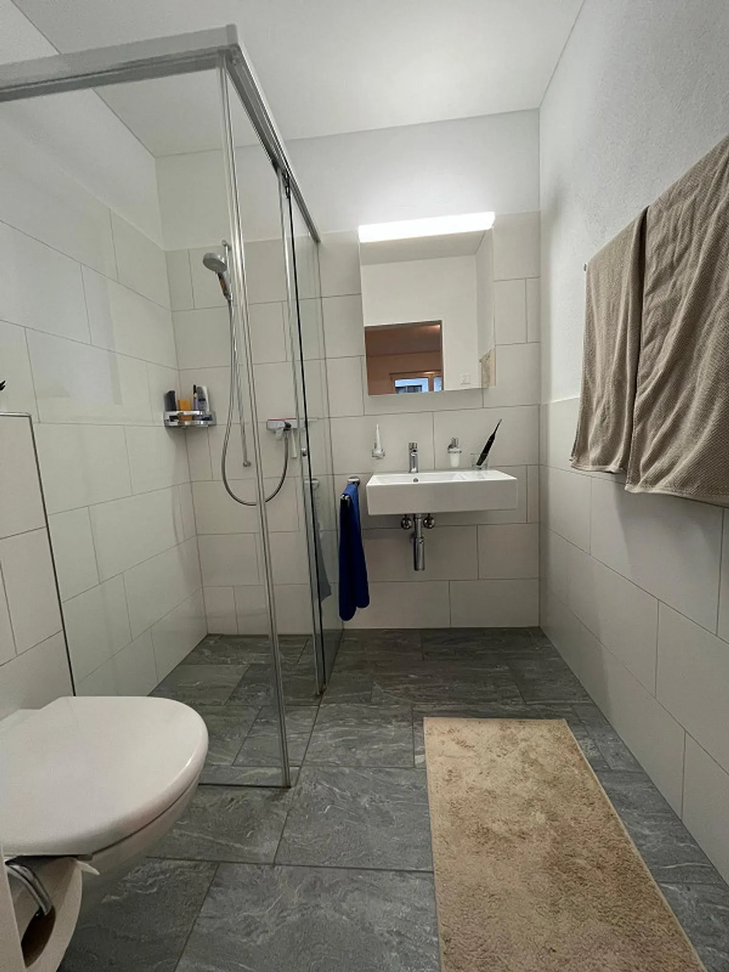 Bright 4.5-room apartment with balcony and wood stove in sunny Trimmis - Photo 4 of 5