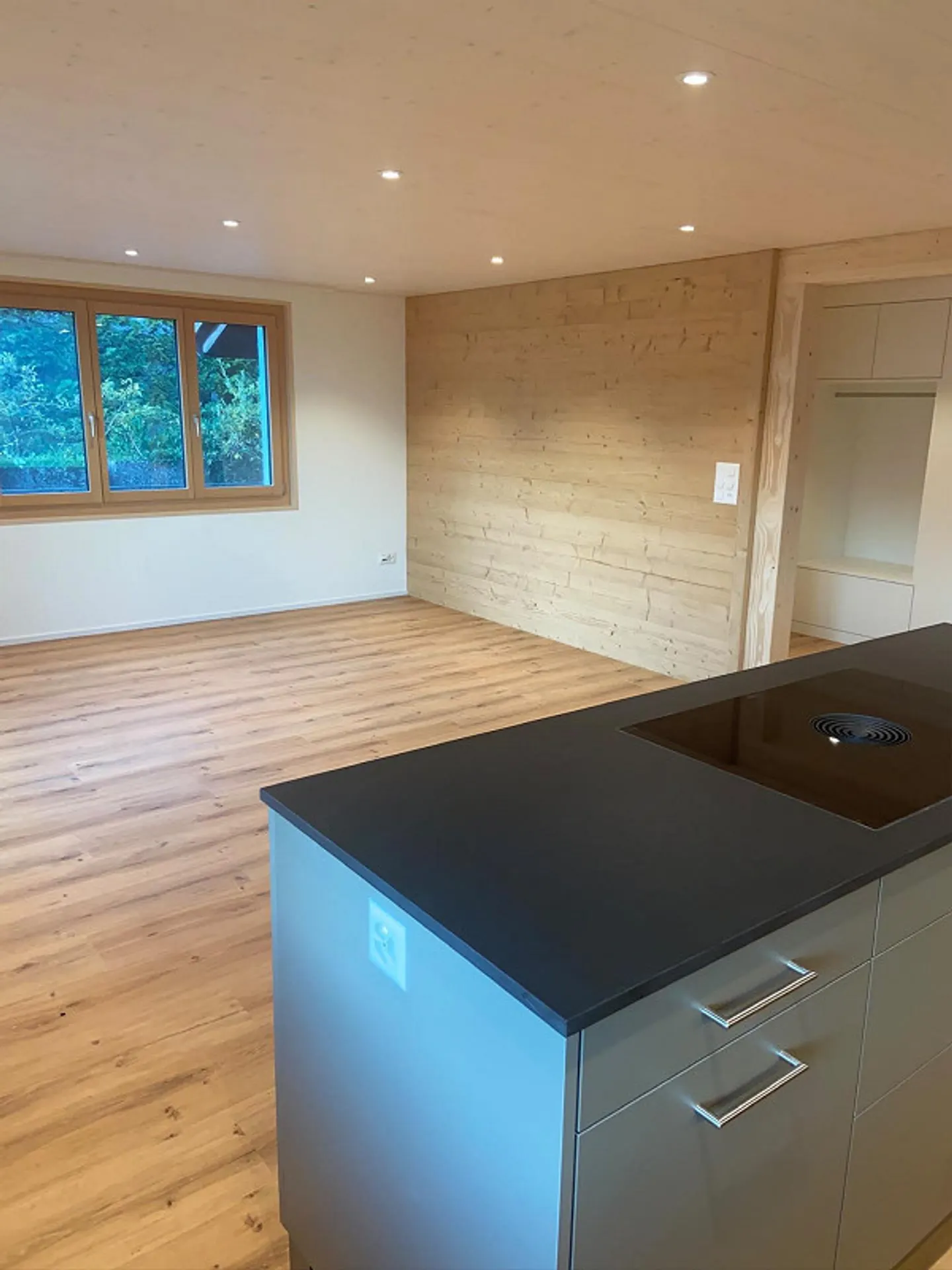 Appartamento 4,5 stanze completamente ristrutturato in affitto - Foto 7 di 14