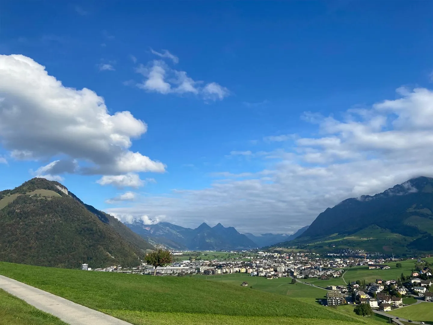Appartamento 4,5 stanze completamente ristrutturato in affitto - Foto 14 di 14