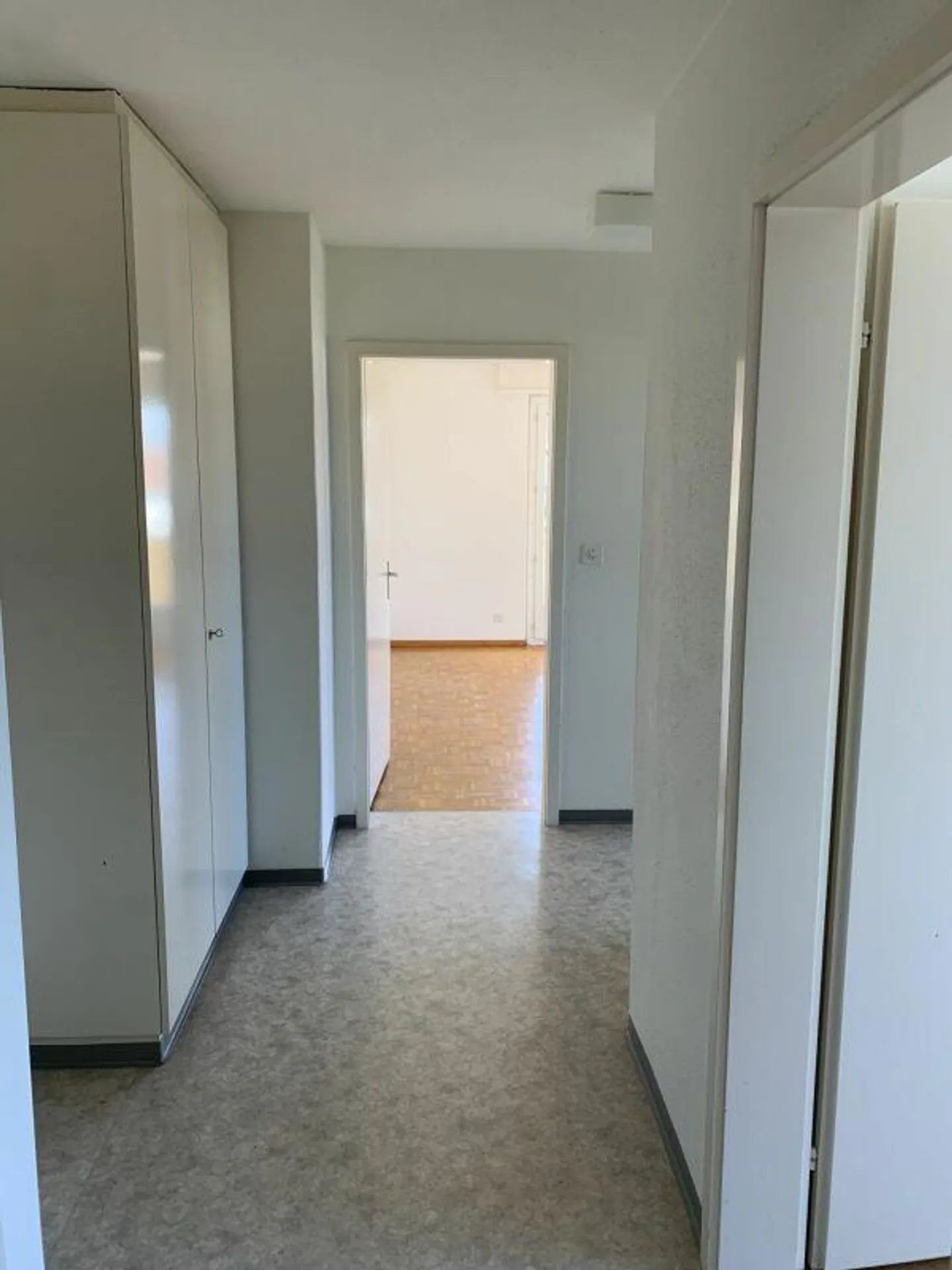 Cozy apartment by the lake seeks tenant! - Photo 2 of 8