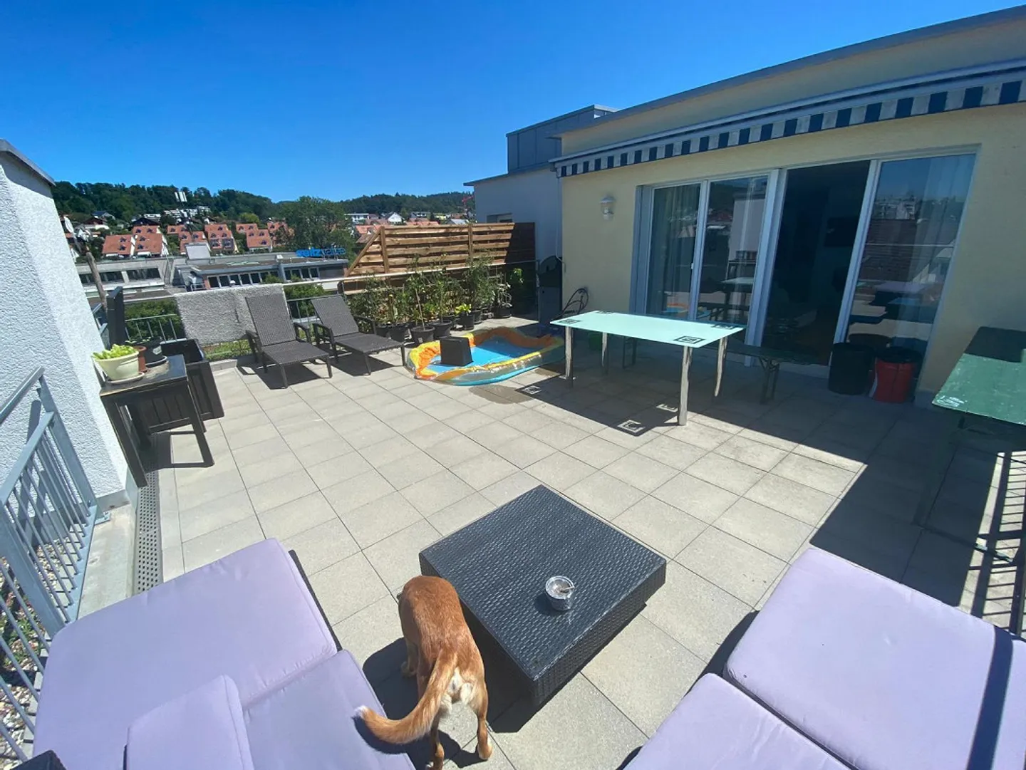 3.5 Room Attic Apartment - Photo 5 of 13