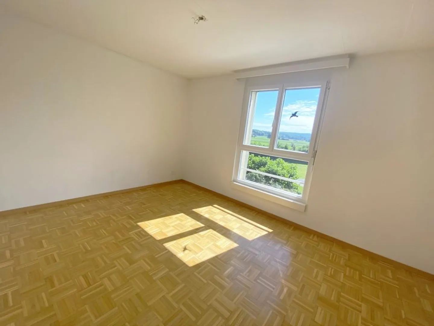 Vivre à Gampelen! - Photo 3 sur 6