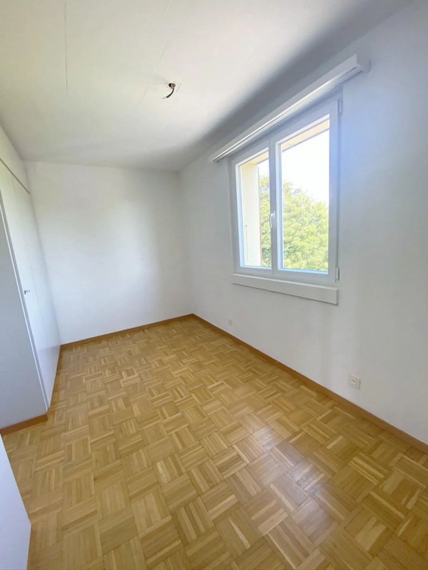 Vivre à Gampelen! - Photo 5 sur 6