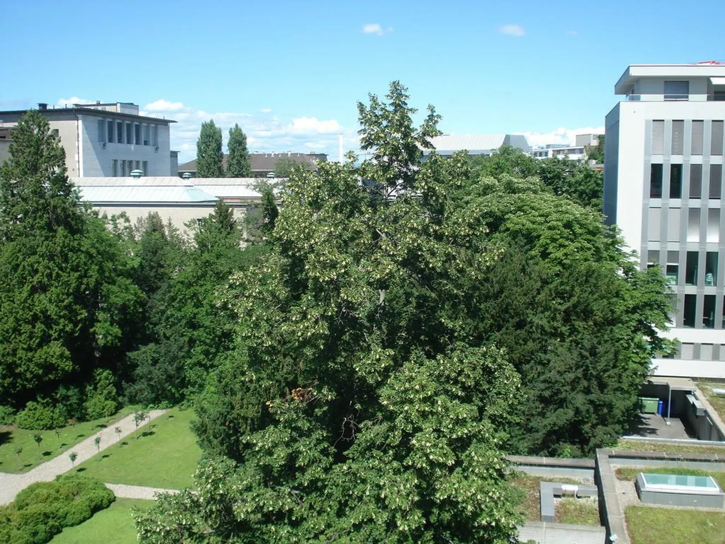 Exclusive city apartment with a view of greenery - Photo 6 of 6