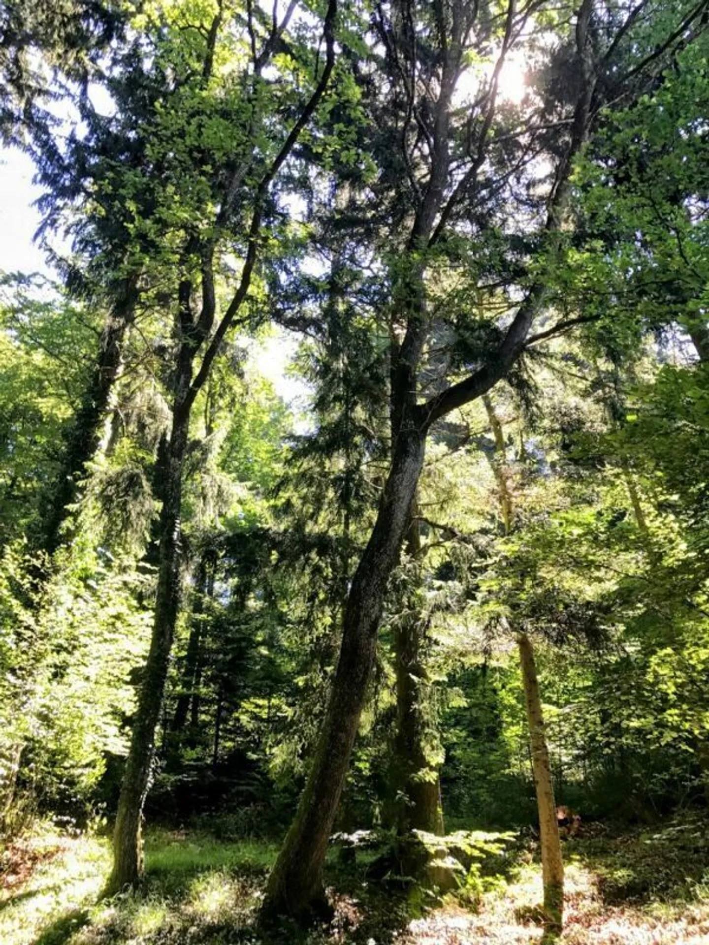 Villa contiguë, lot n°2 de 4,5 pièces - Photo 15 of 18