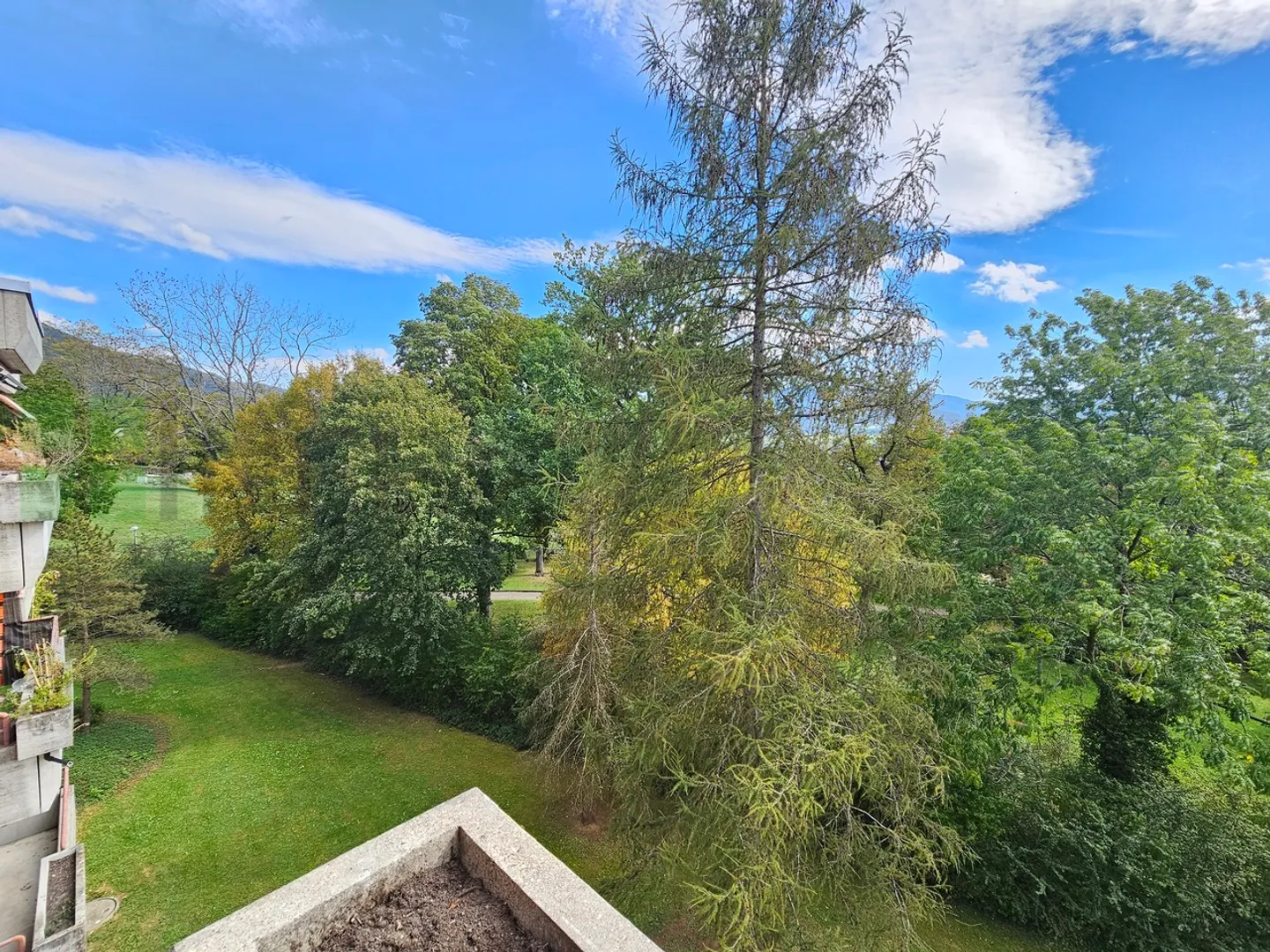 Vista sugli alberi - 3,5 stanze di 73 m2 - Foto 12 di 17