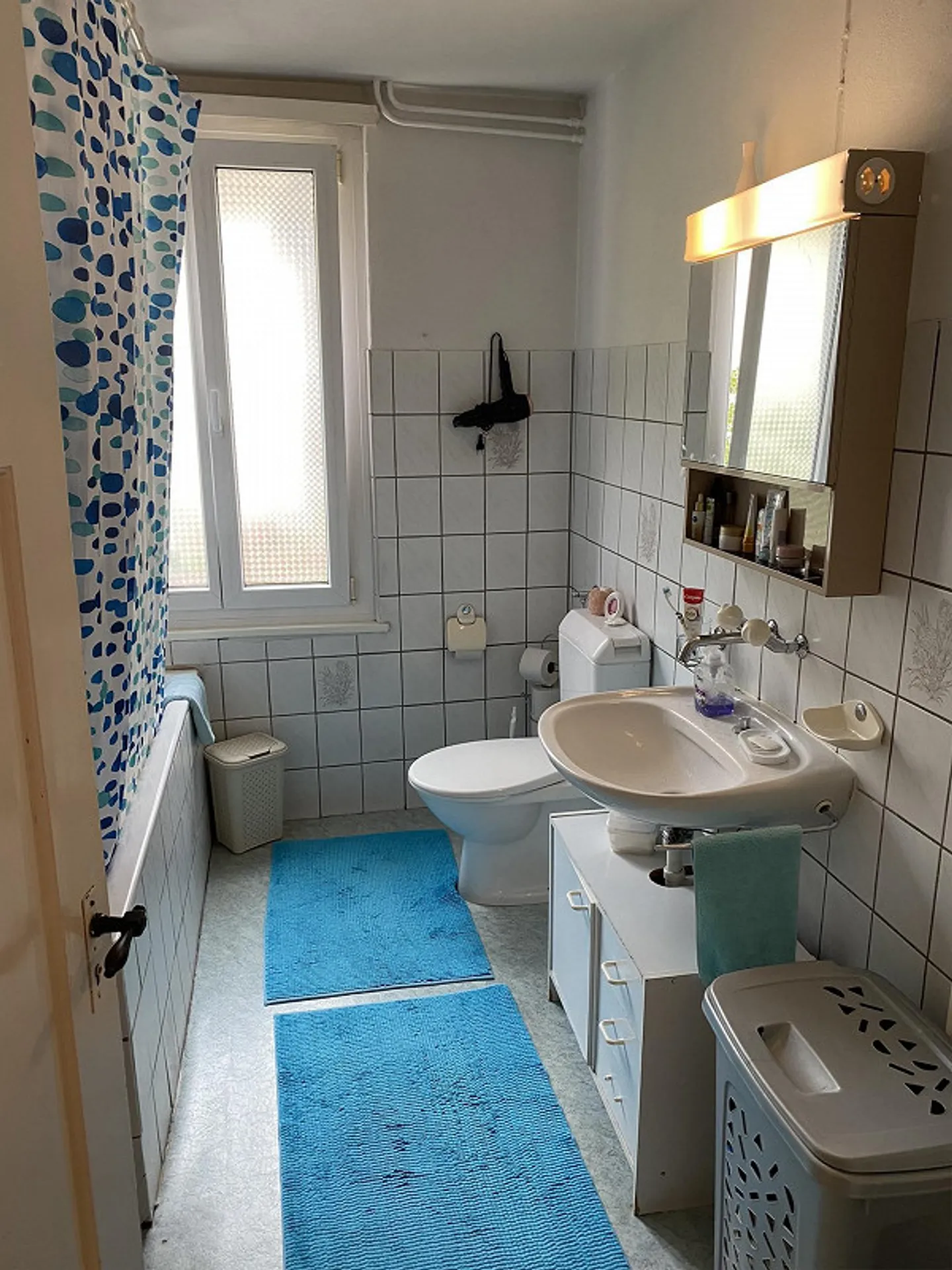 Renovated 3.5 Room Apartment for Rent - Photo 4 of 9