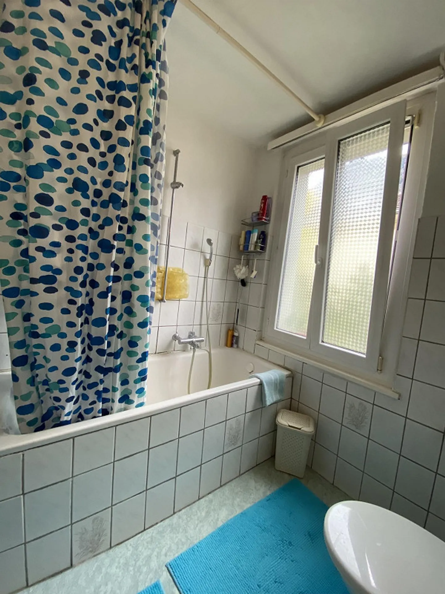 Renovated 3.5 Room Apartment for Rent - Photo 5 of 9