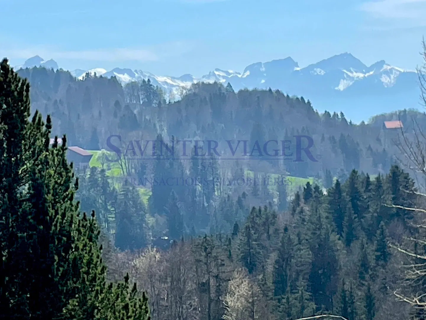 VIAGER. Châtel-St-Denis, Appartamento tranquillo, giardino PPE 2034m2 - Foto 19 di 23