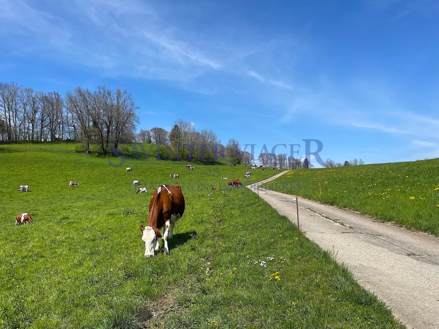 VIAGER. Châtel-St-Denis, Appartamento tranquillo, giardino PPE 2034m2 - Foto 23 di 23