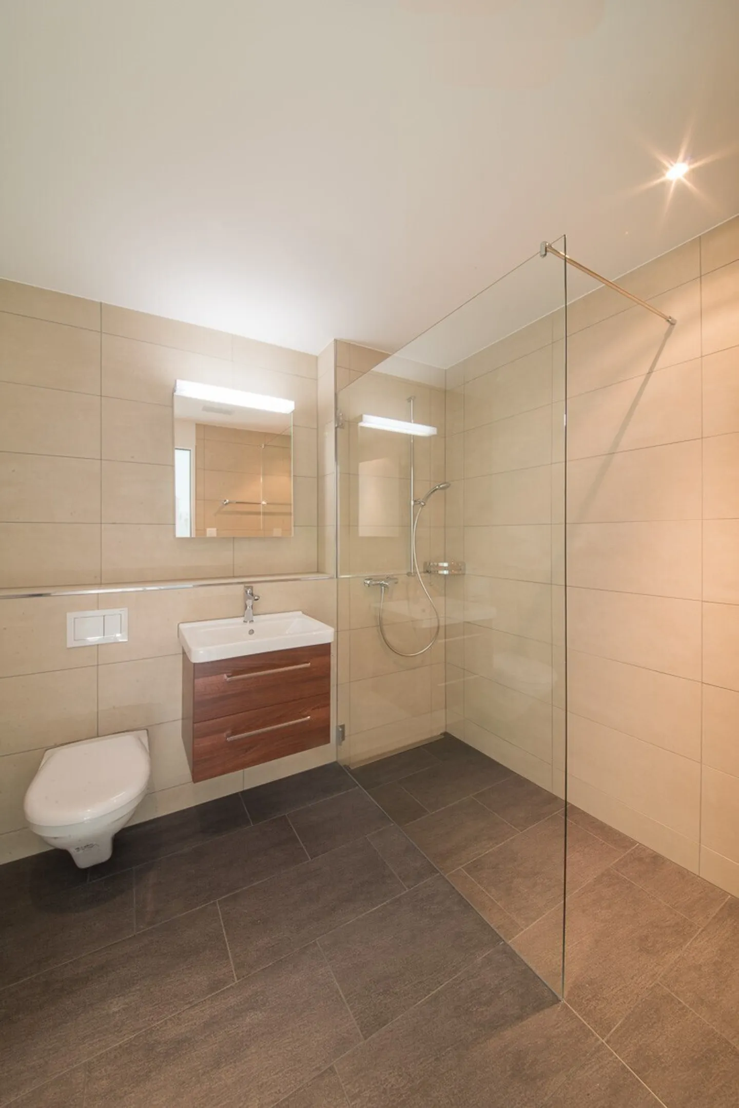 Your new home directly on Lake Zurich - Photo 5 of 5