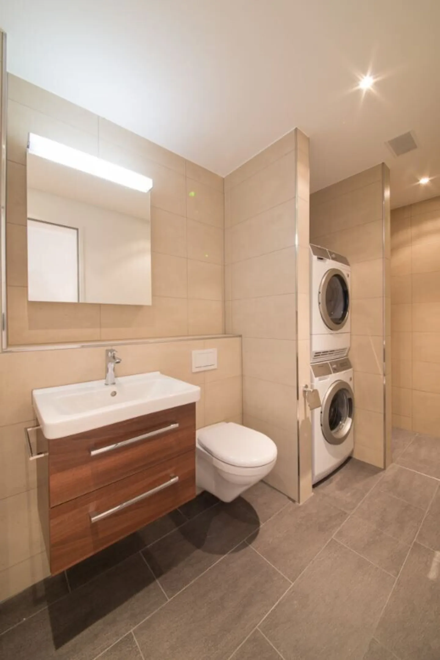 Your new home directly on Lake Zurich - Photo 4 of 5