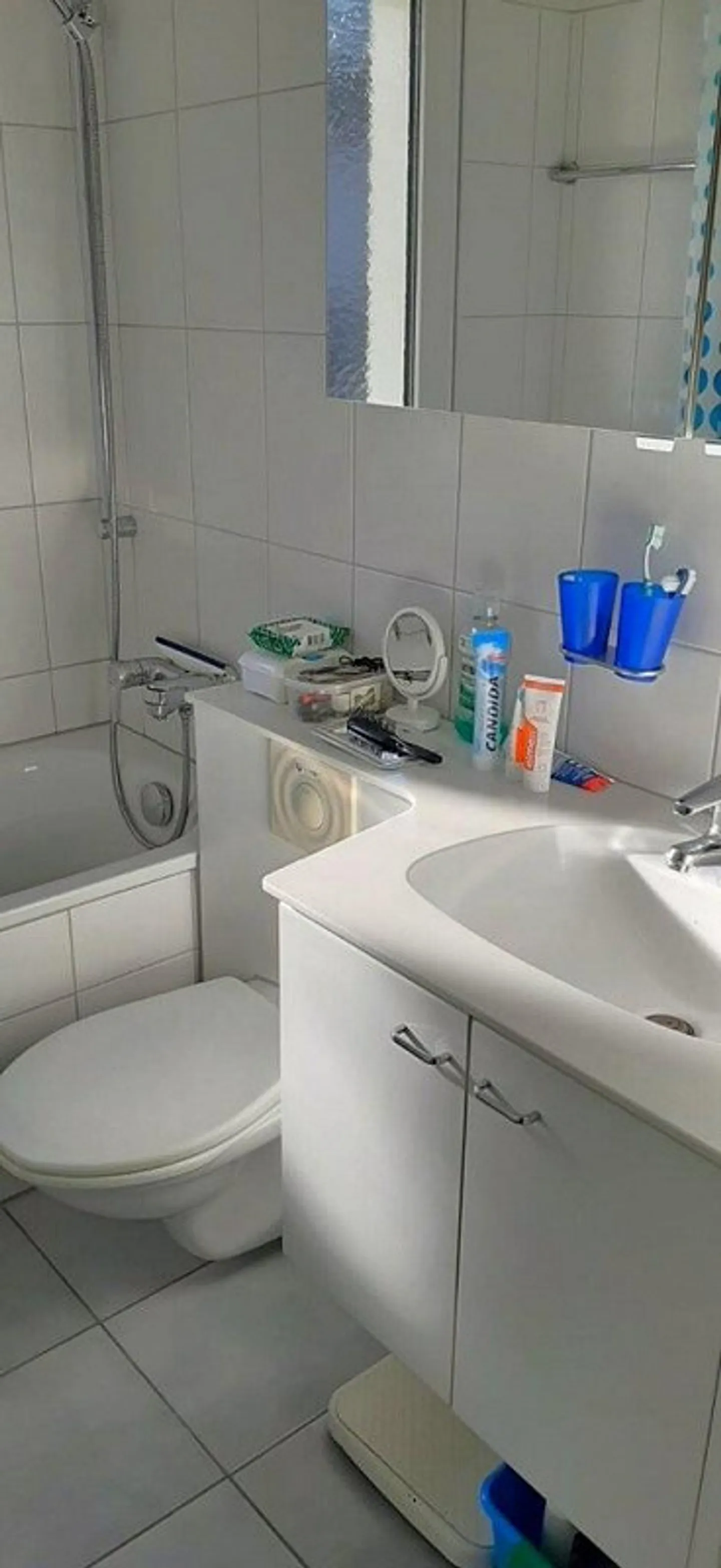 Appartamento temporaneo di 3,5 locali in affitto vicino al lago - Foto 7 di 8