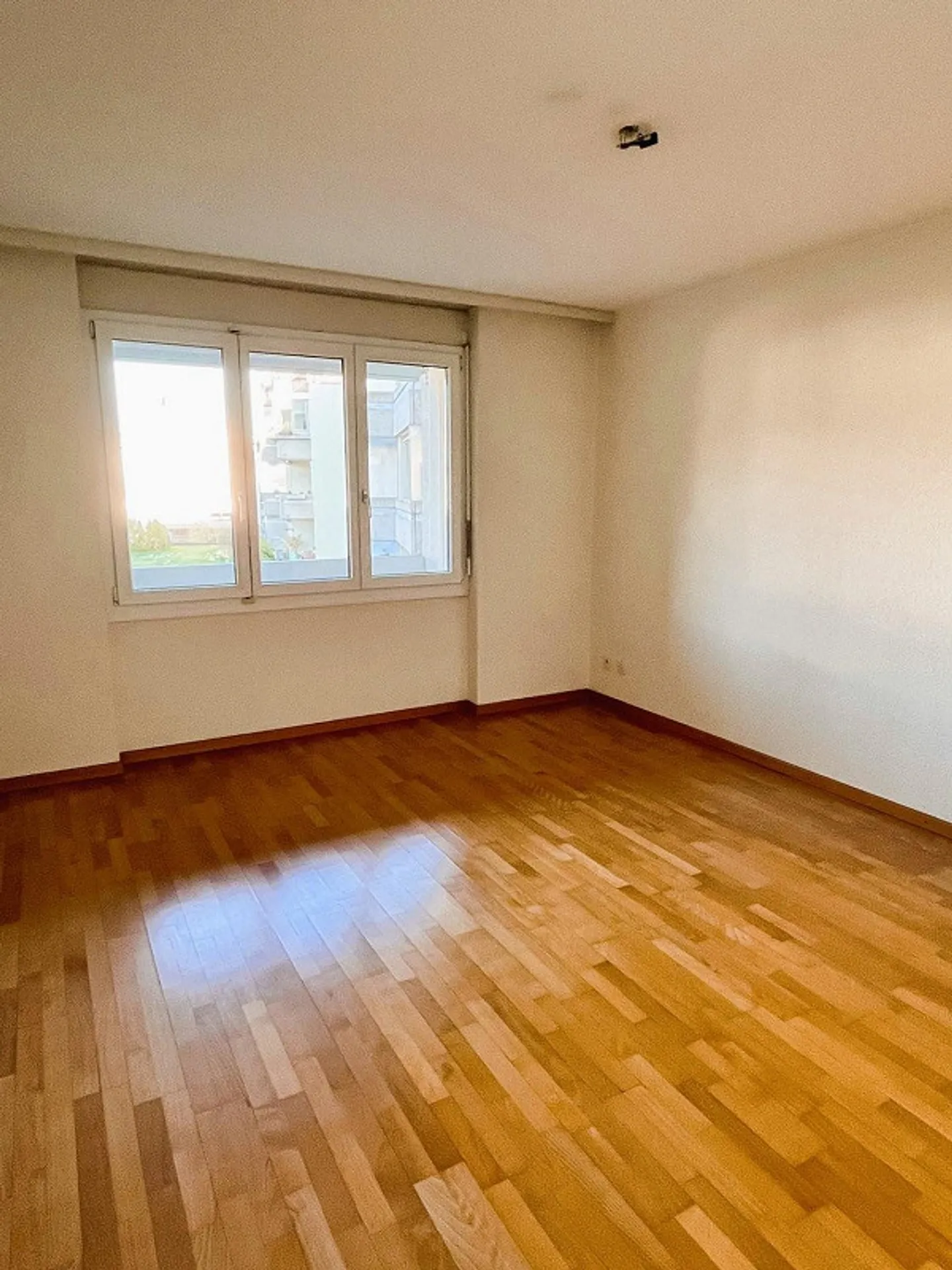 Bright 2.5-Room Apartment in Thun - Photo 4 of 6