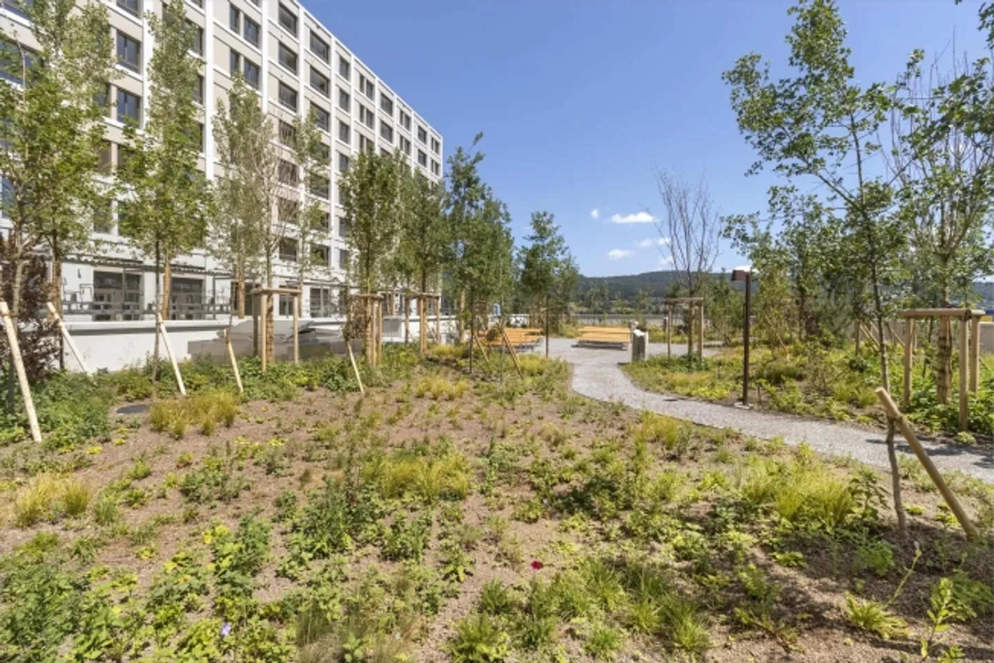 Office space for rent - Photo 2 of 2