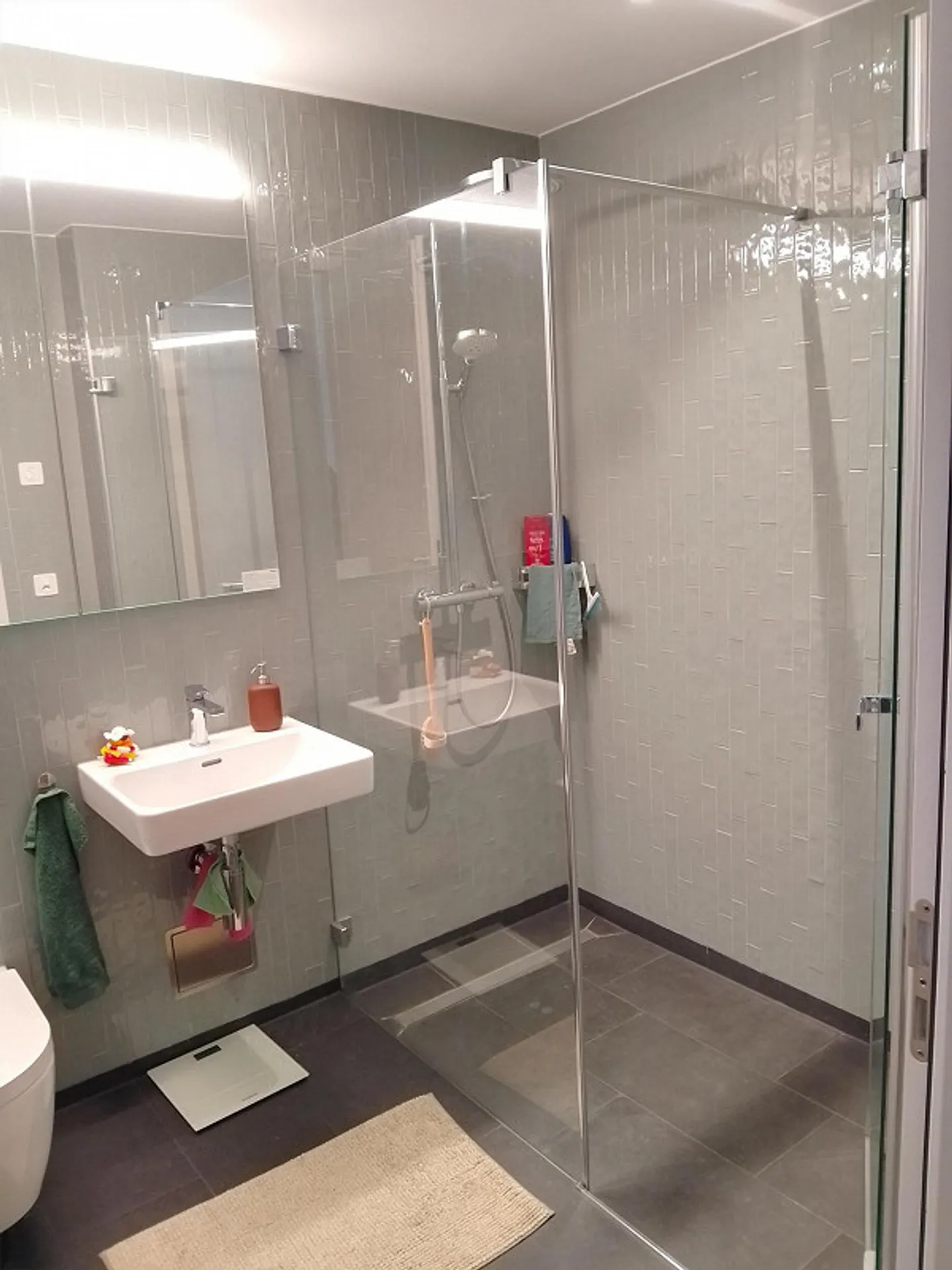 Looking for a new tenant from 1.5.26 for a 2 1/2-room apartment near Stettbach - Photo 9 of 15