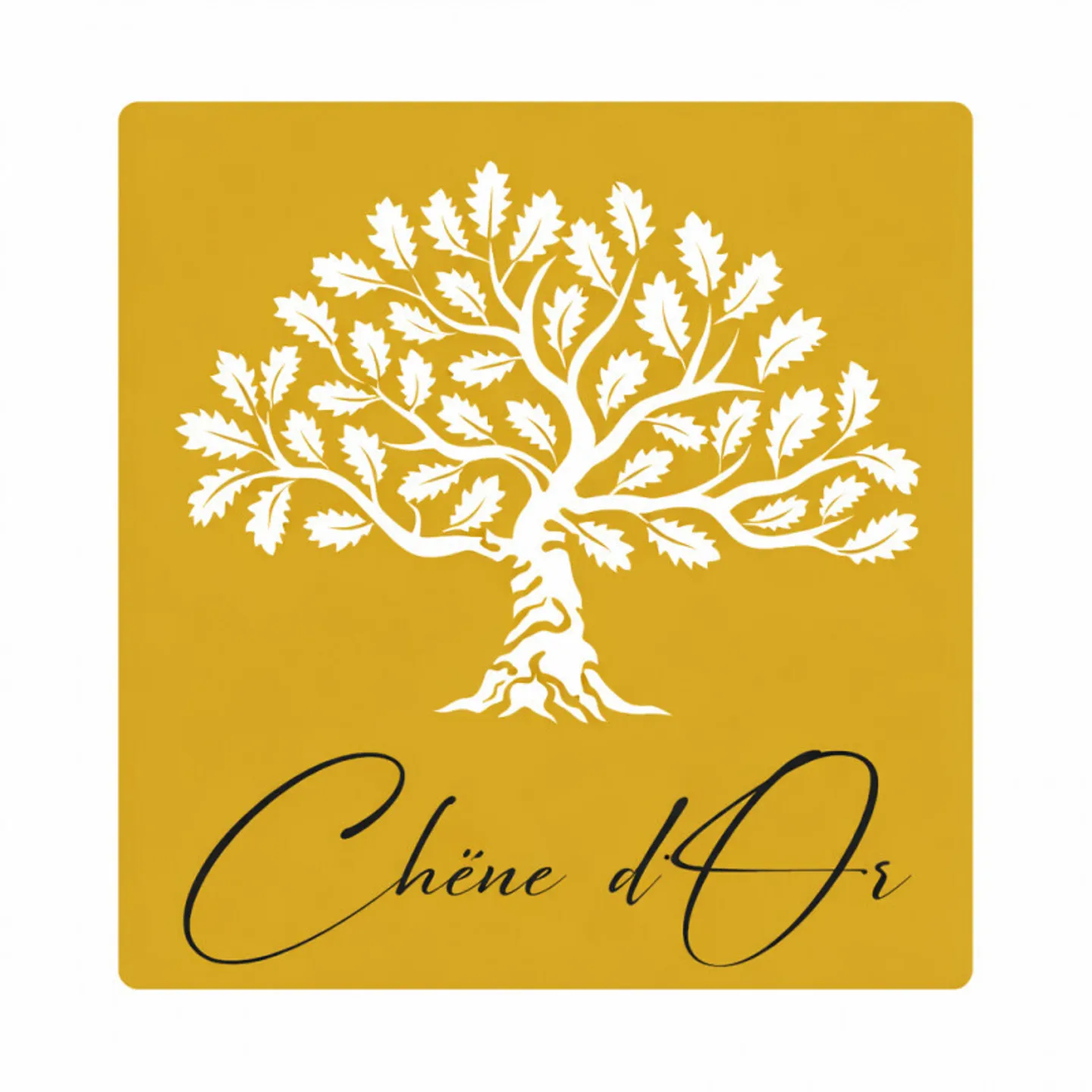 Summit di lusso, vista sulle Alpi per questo attico di 4,5 stanze - Foto 10 di 10