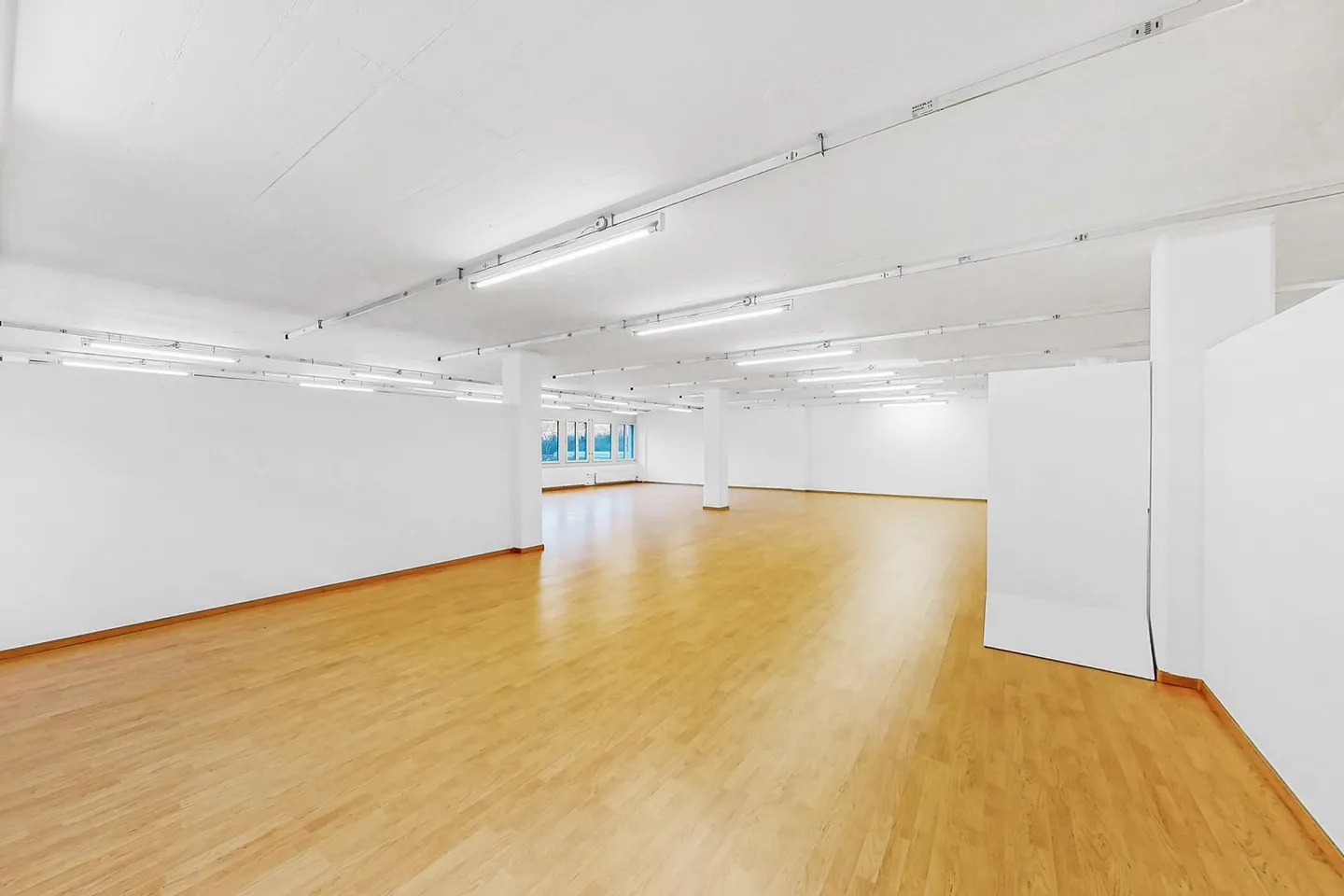 Ufficio spazioso a Quartino - Foto 1 di 5