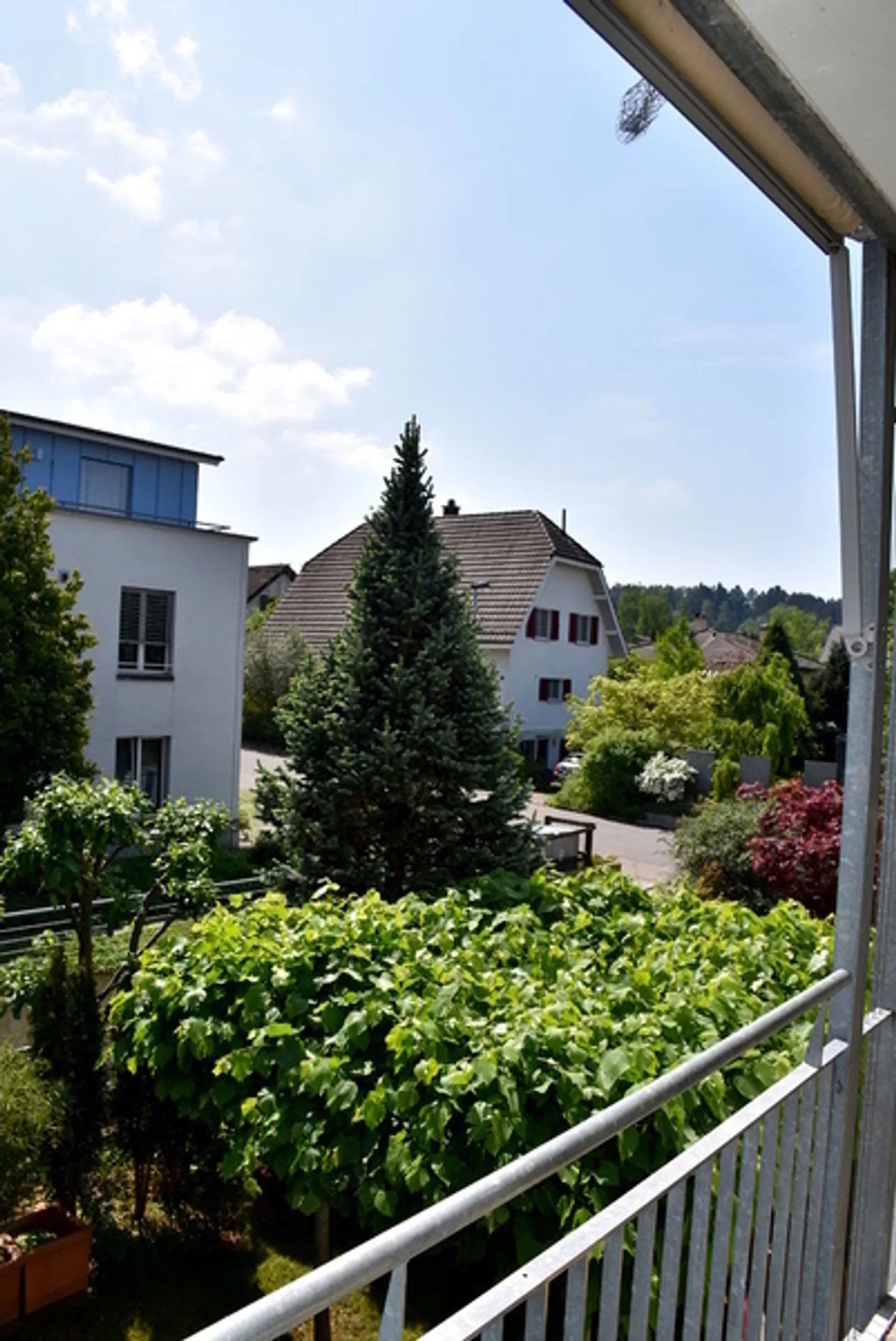 APPARTAMENTO 2 LOCALI A SEUZACH (ZH), ARREDATO, TEMPORANEO - Foto 10 di 10