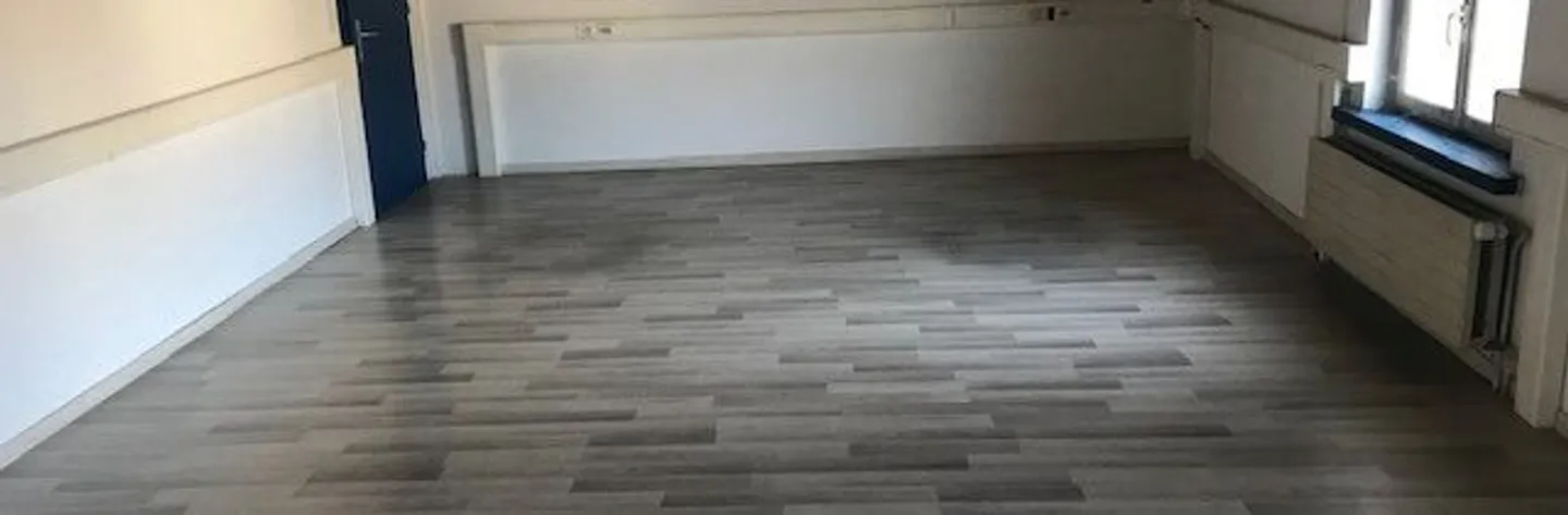 Gewerbe / Industrie in Sissach - Foto 1 von 6