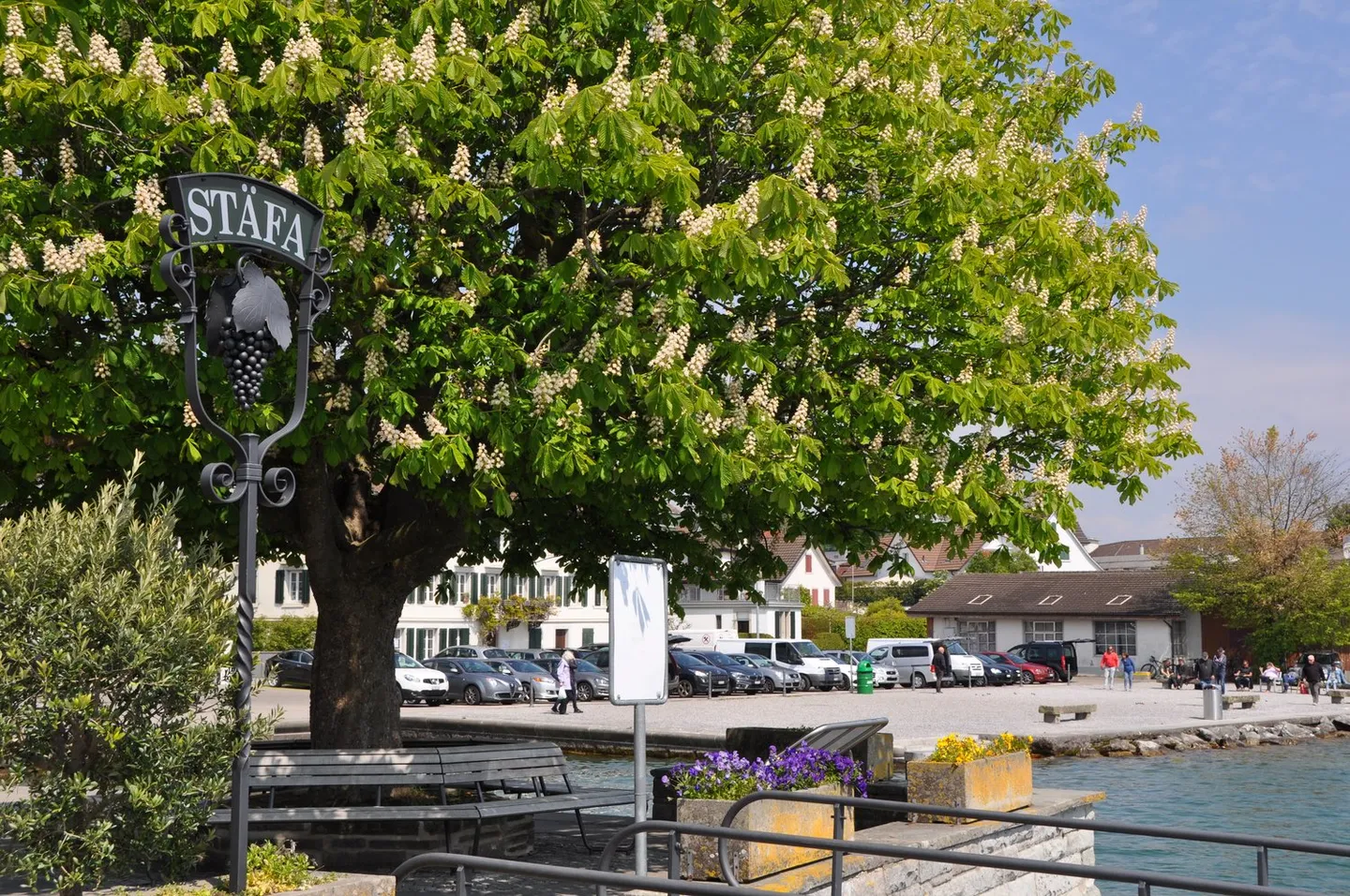 Ampio appartamento giardino di 4,5 locali con 176 m2 di superficie abitabile in una posizione molto tranquilla e a contatto con la natura - Foto 9 di 11