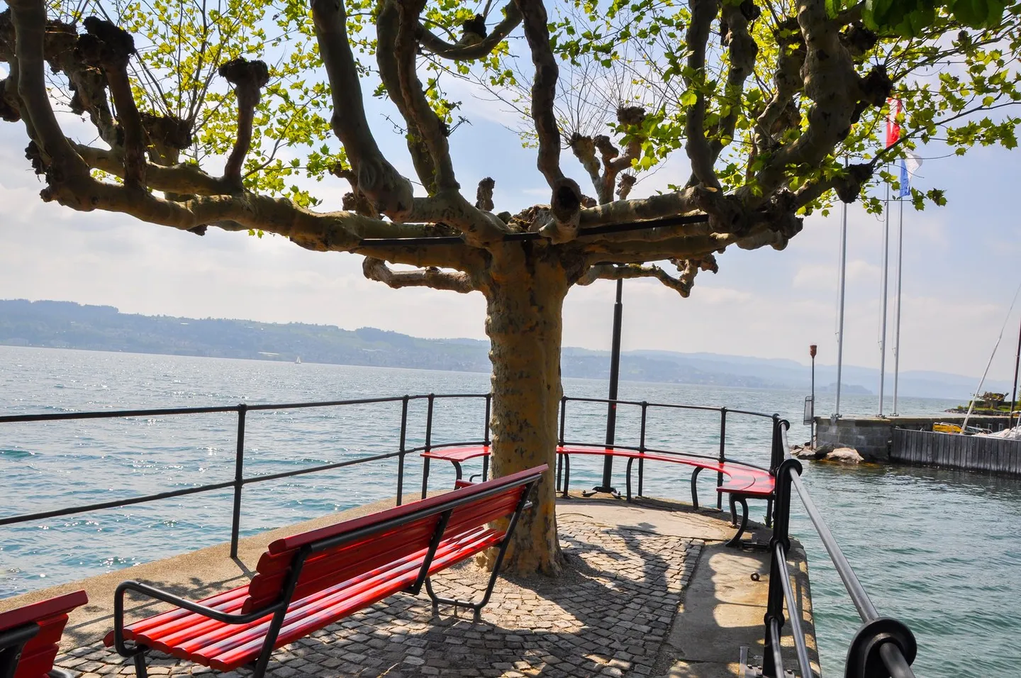 Ampio appartamento giardino di 4,5 locali con 176 m2 di superficie abitabile in una posizione molto tranquilla e a contatto con la natura - Foto 10 di 11