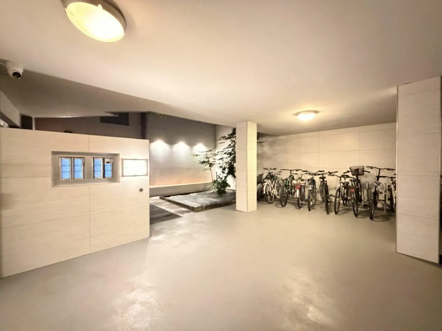 PARADISO · RENOVIERTES UND MÖBLIERTES 2,5-ZIMMER-APARTMENT · SEEBLICK AN EINEM AUSGEZEICHNETEN ORT - Foto 14 von 18