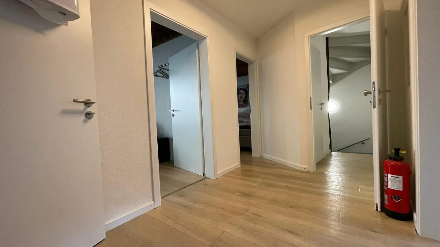 Bijou dans un emplacement central à Kleinbasel. "Airbnb, penthouse ... - Photo 22 sur 45