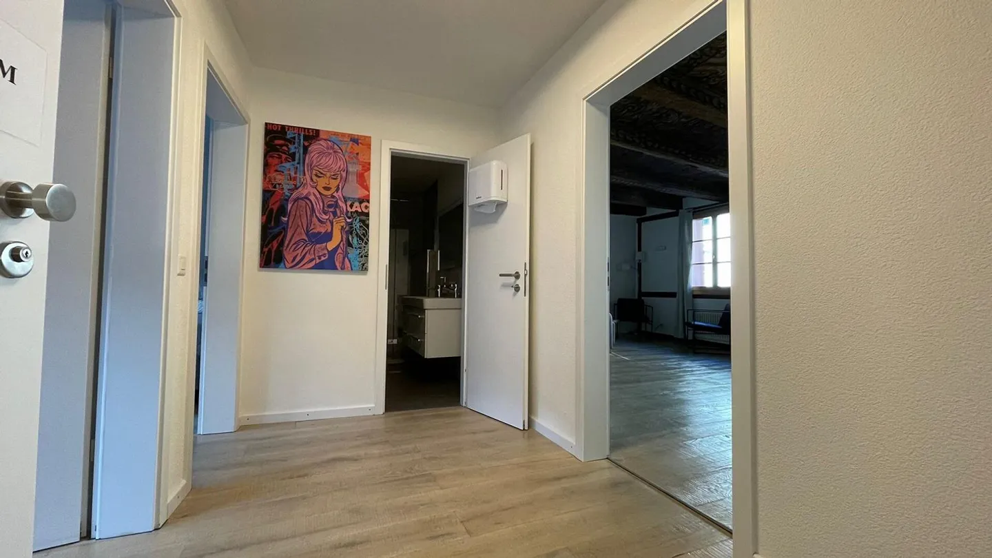 Bijou dans un emplacement central à Kleinbasel. "Airbnb, penthouse ... - Photo 24 sur 45