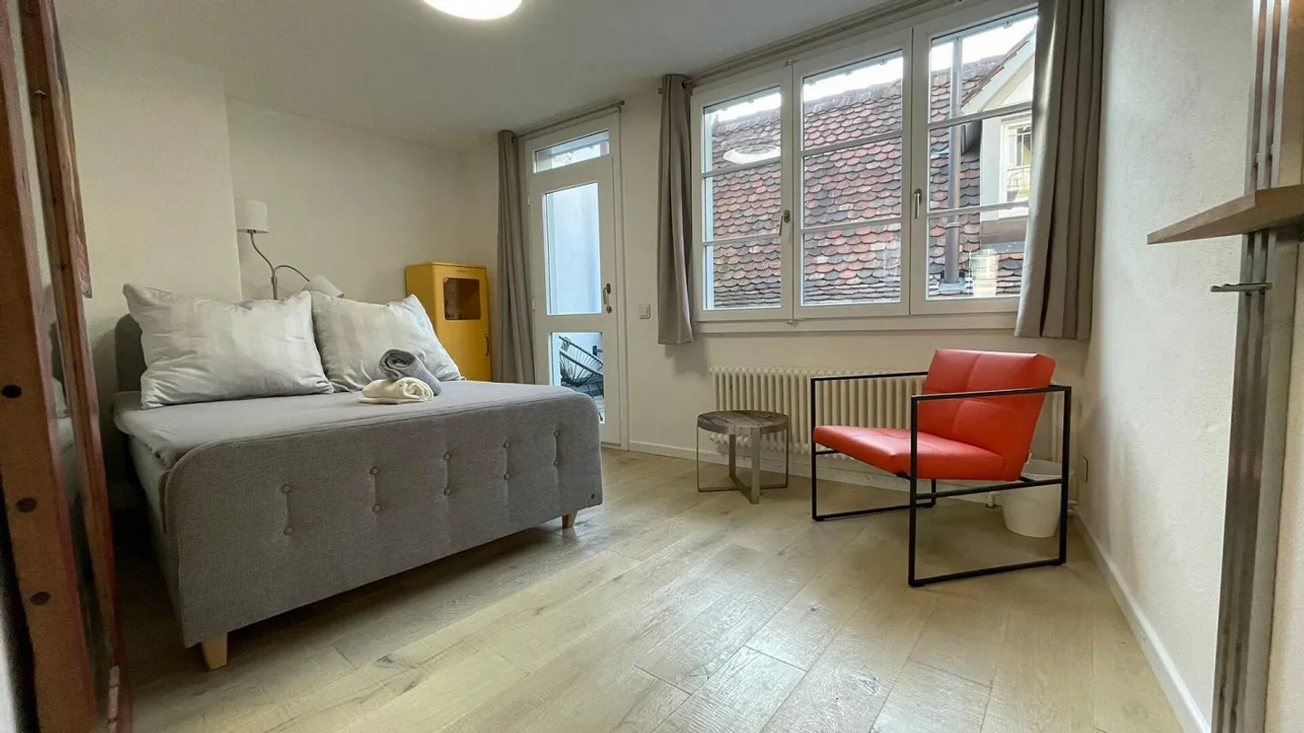 Bijou dans un emplacement central à Kleinbasel. "Airbnb, penthouse ... - Photo 27 sur 45