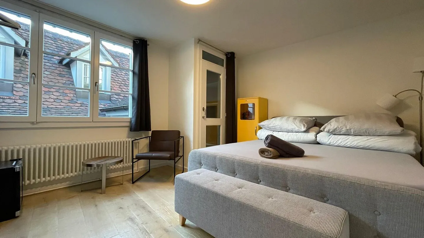 Bijou dans un emplacement central à Kleinbasel. "Airbnb, penthouse ... - Photo 30 sur 45