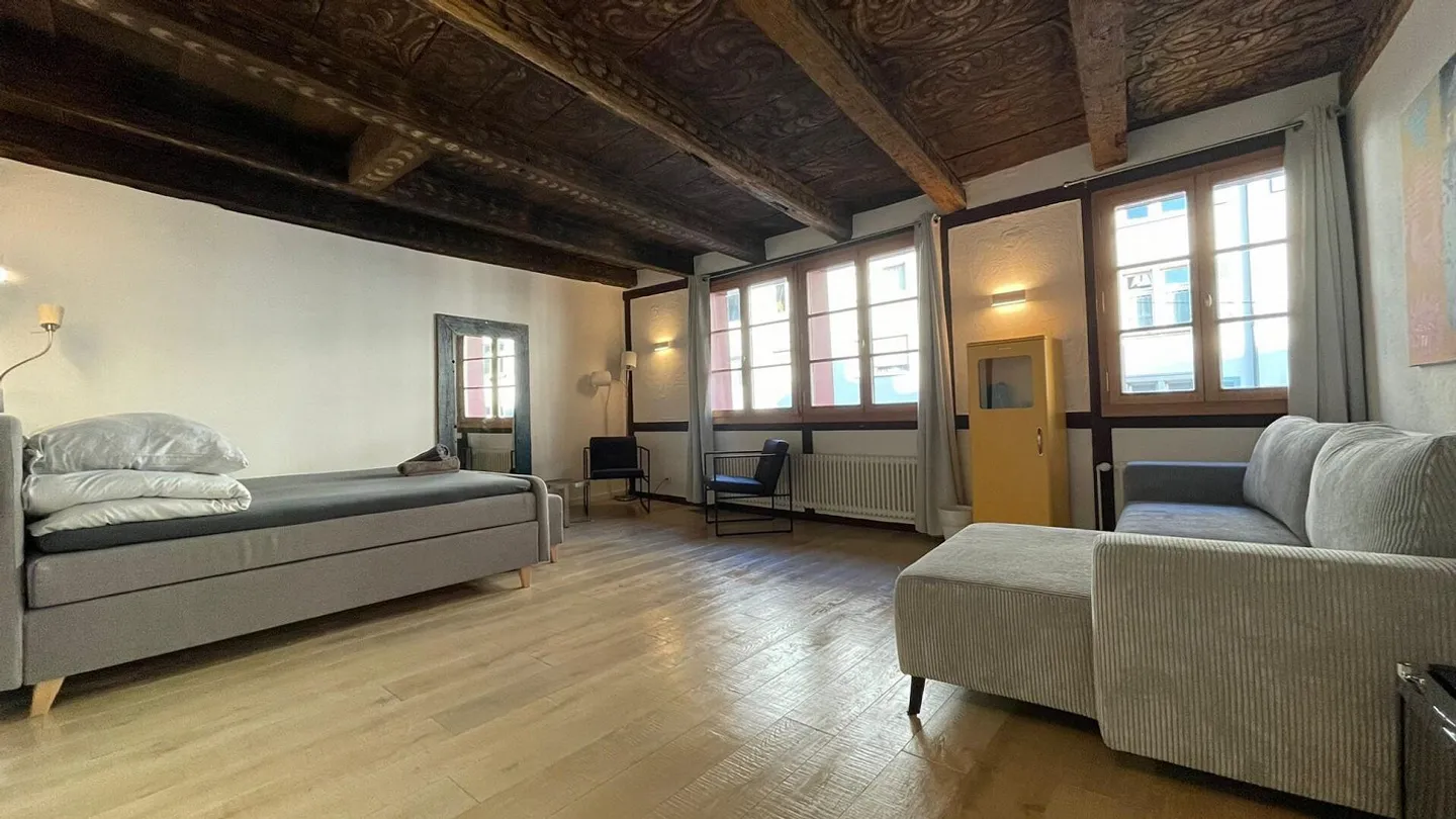 Bijou dans un emplacement central à Kleinbasel. "Airbnb, penthouse ... - Photo 31 sur 45