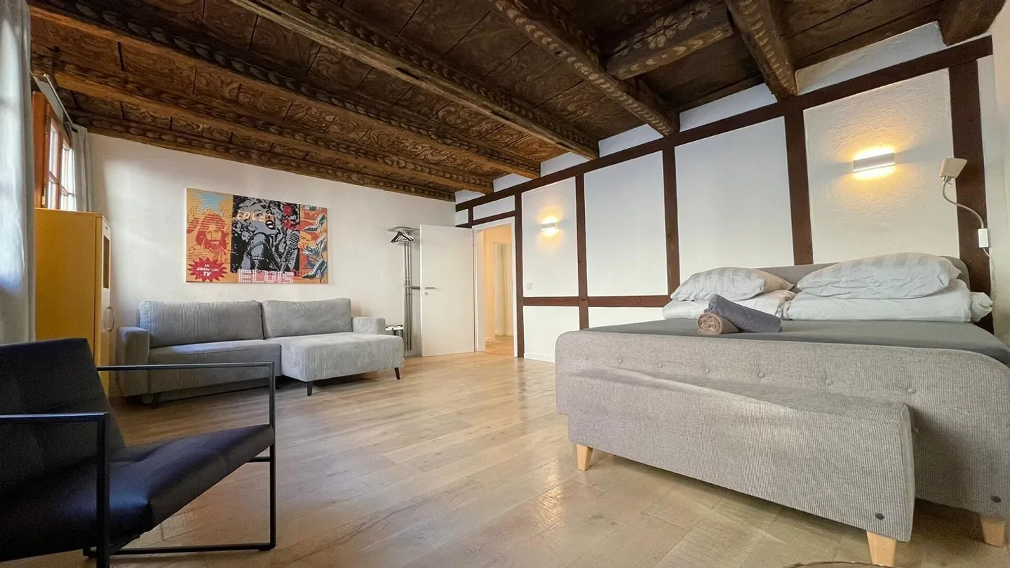 Bijou dans un emplacement central à Kleinbasel. "Airbnb, penthouse ... - Photo 32 sur 45