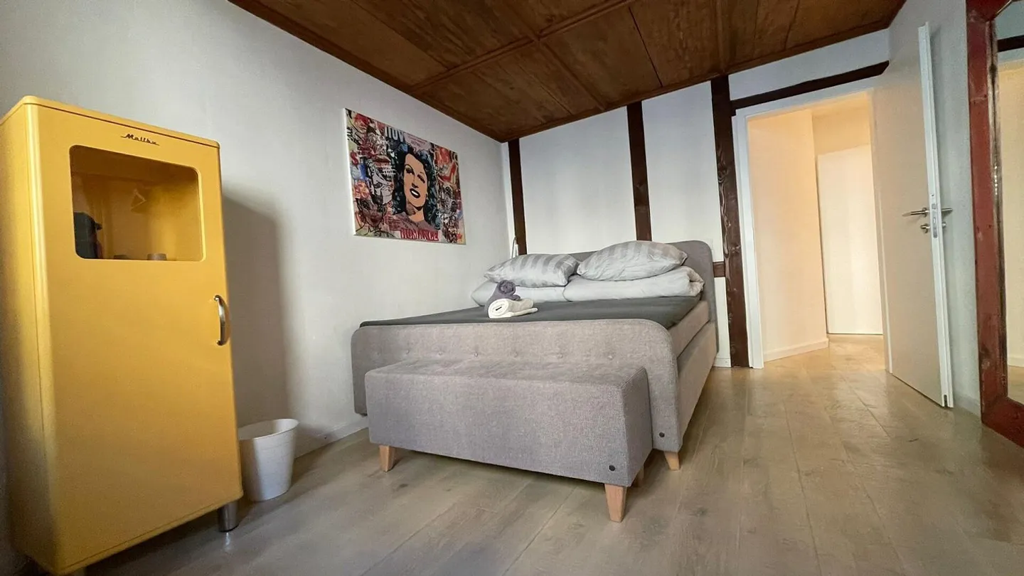 Bijou dans un emplacement central à Kleinbasel. "Airbnb, penthouse ... - Photo 33 sur 45