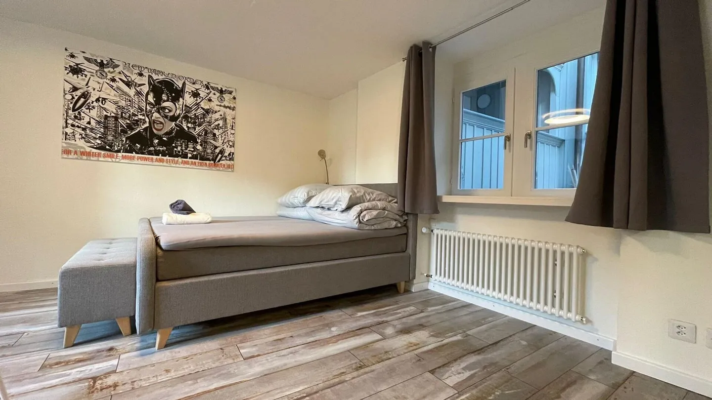 Bijou dans un emplacement central à Kleinbasel. "Airbnb, penthouse ... - Photo 35 sur 45