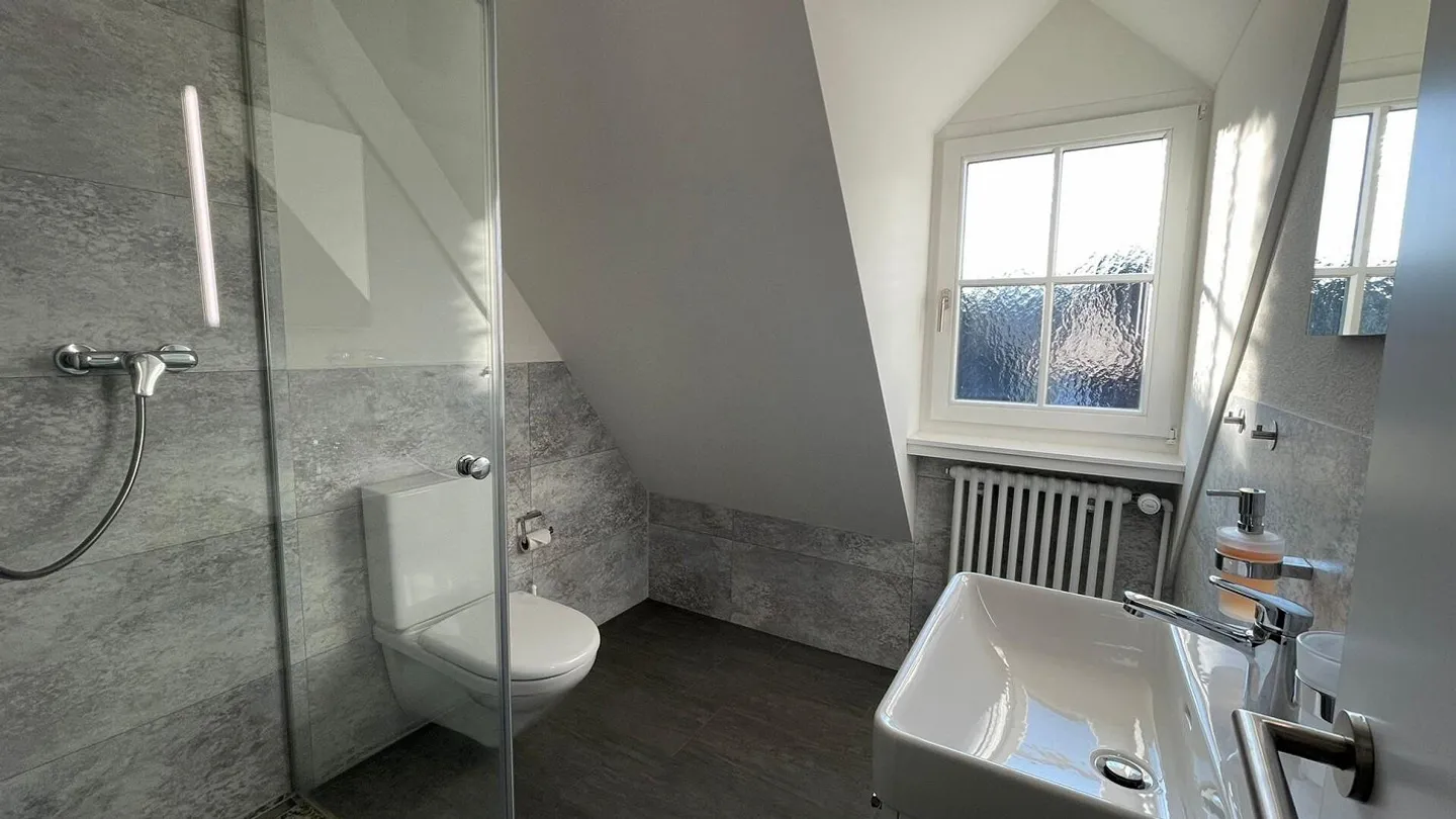 Bijou dans un emplacement central à Kleinbasel. "Airbnb, penthouse ... - Photo 39 sur 45