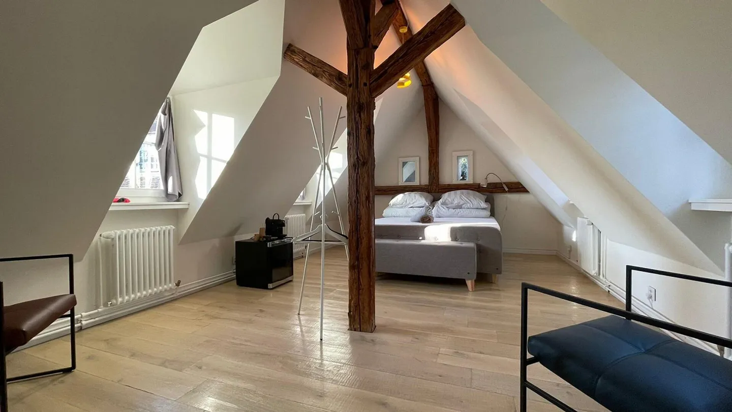 Bijou dans un emplacement central à Kleinbasel. "Airbnb, penthouse ... - Photo 40 sur 45