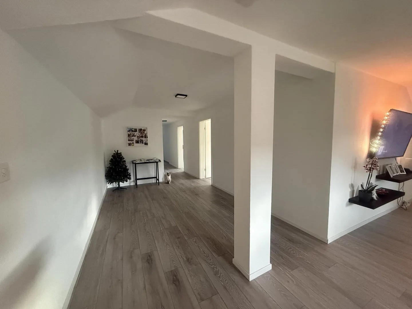 Recherche d'un nouveau locataire pour un appartement spacieux de 5,5 pièces - Photo 3 sur 12
