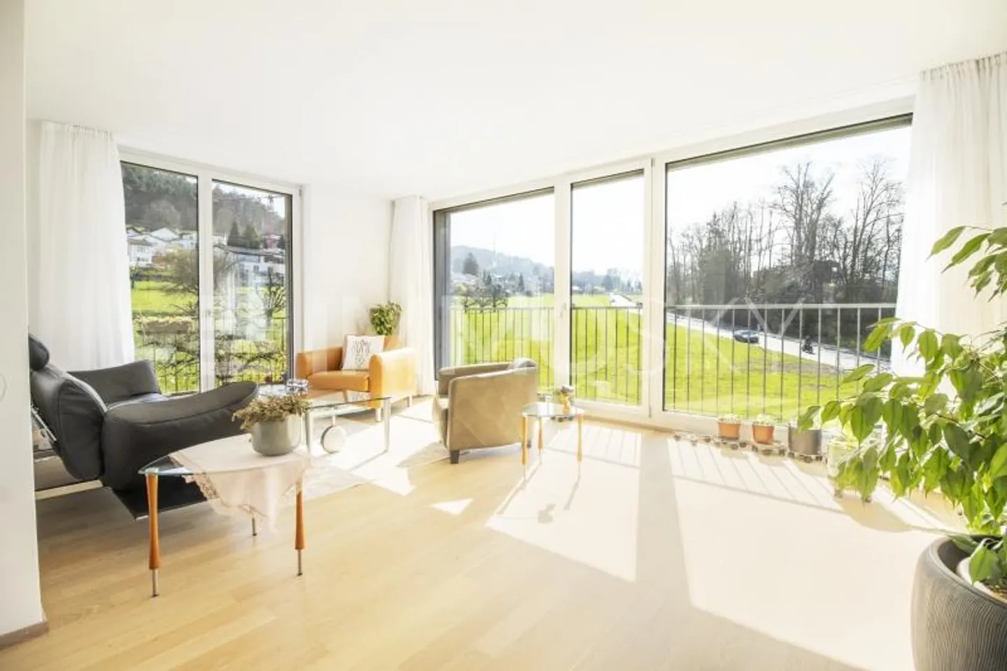 Grosse Extraklasse - Foto 2 von 7