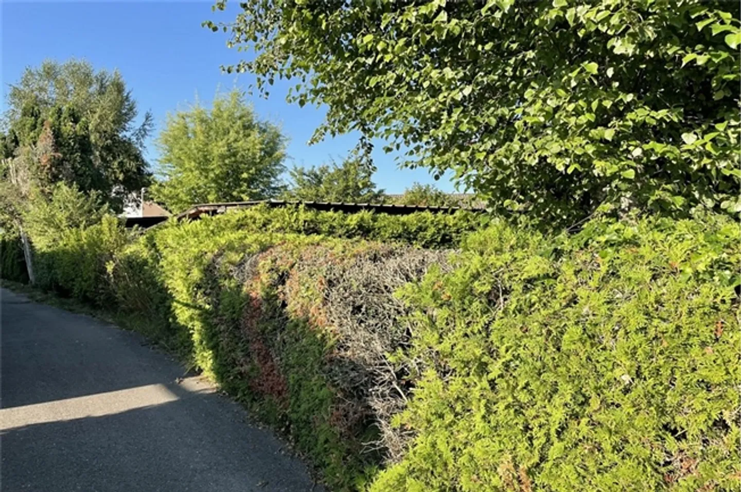 Raro, proprietà nel registro fondiario, Caravaning Gletterens, riduzione di prezzo - Foto 2 di 11