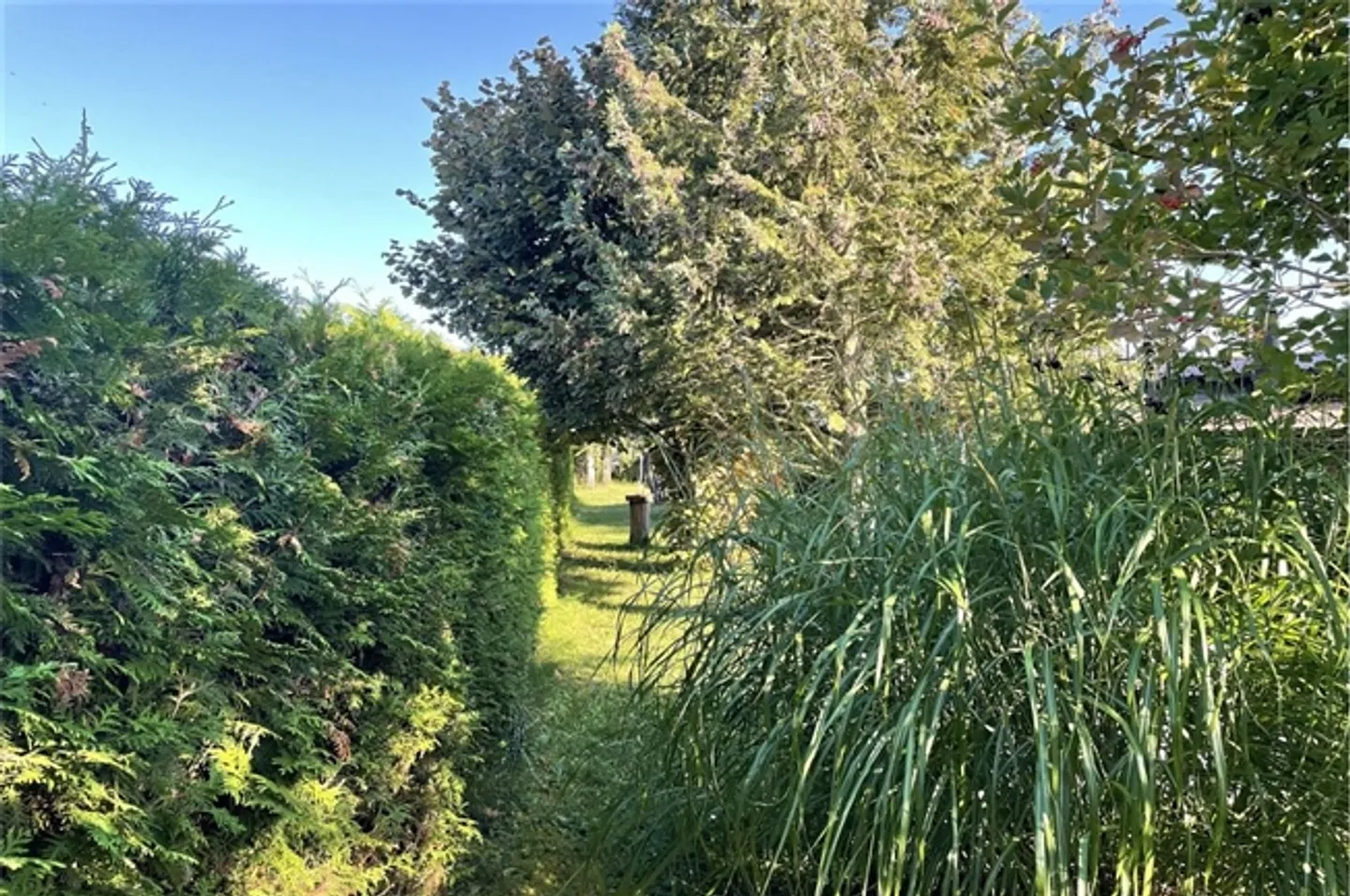 Raro, proprietà nel registro fondiario, Caravaning Gletterens, riduzione di prezzo - Foto 5 di 11