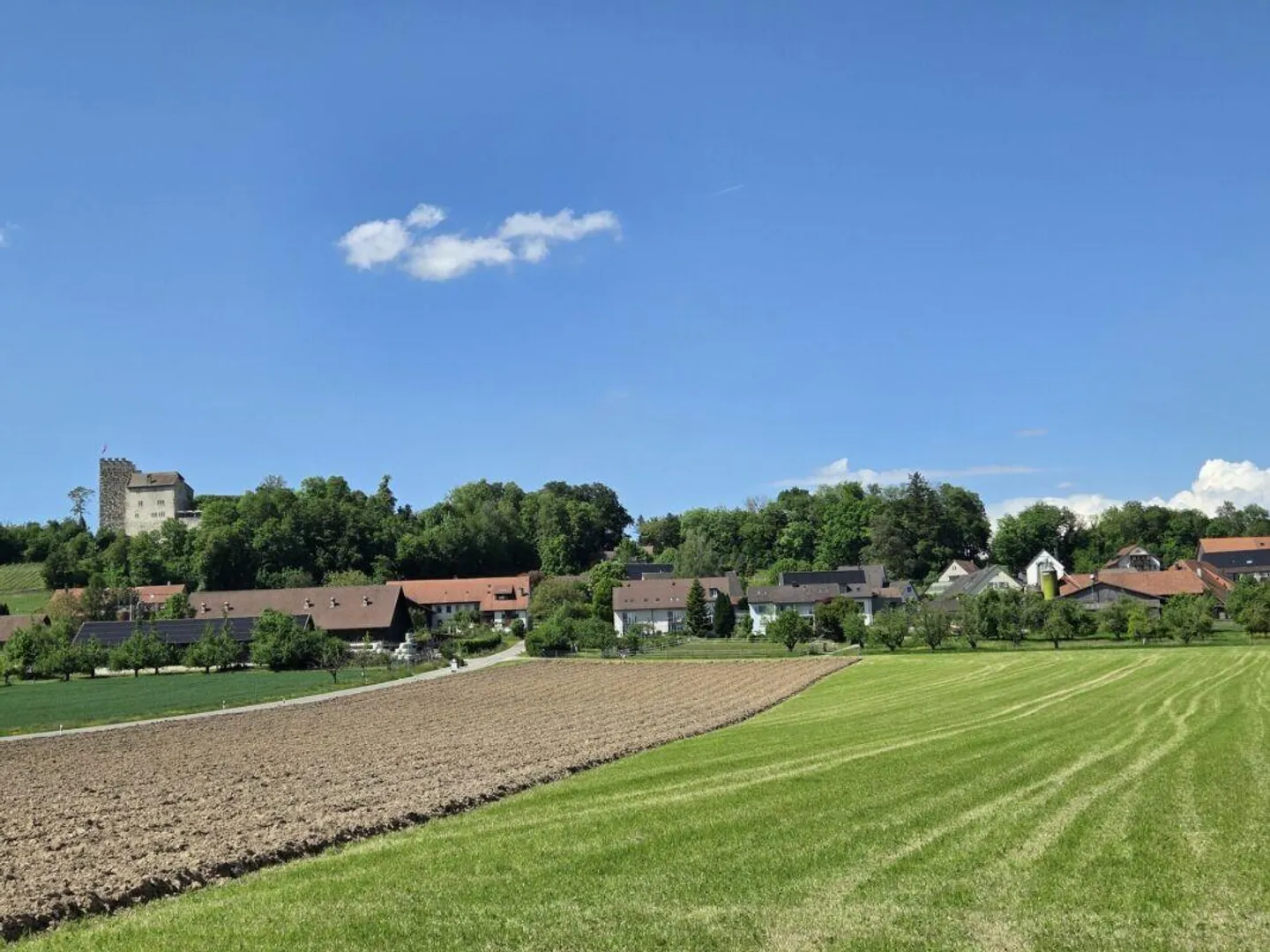 Preferably located building land (1,664m²), perfectly suitable for... - Photo 4 of 4