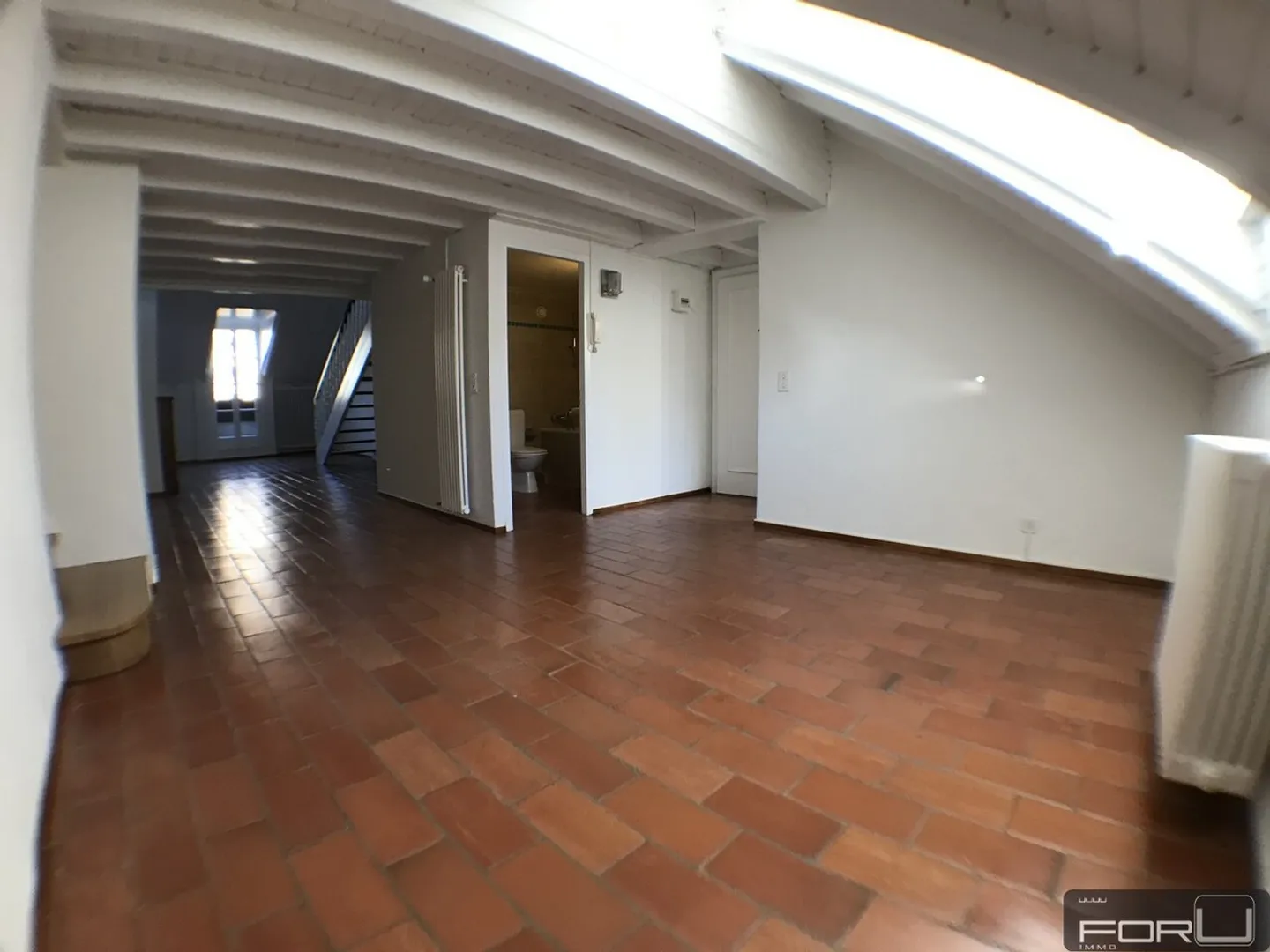 Superbo attico atipico a Vieux-Carouge - Foto 3 di 13