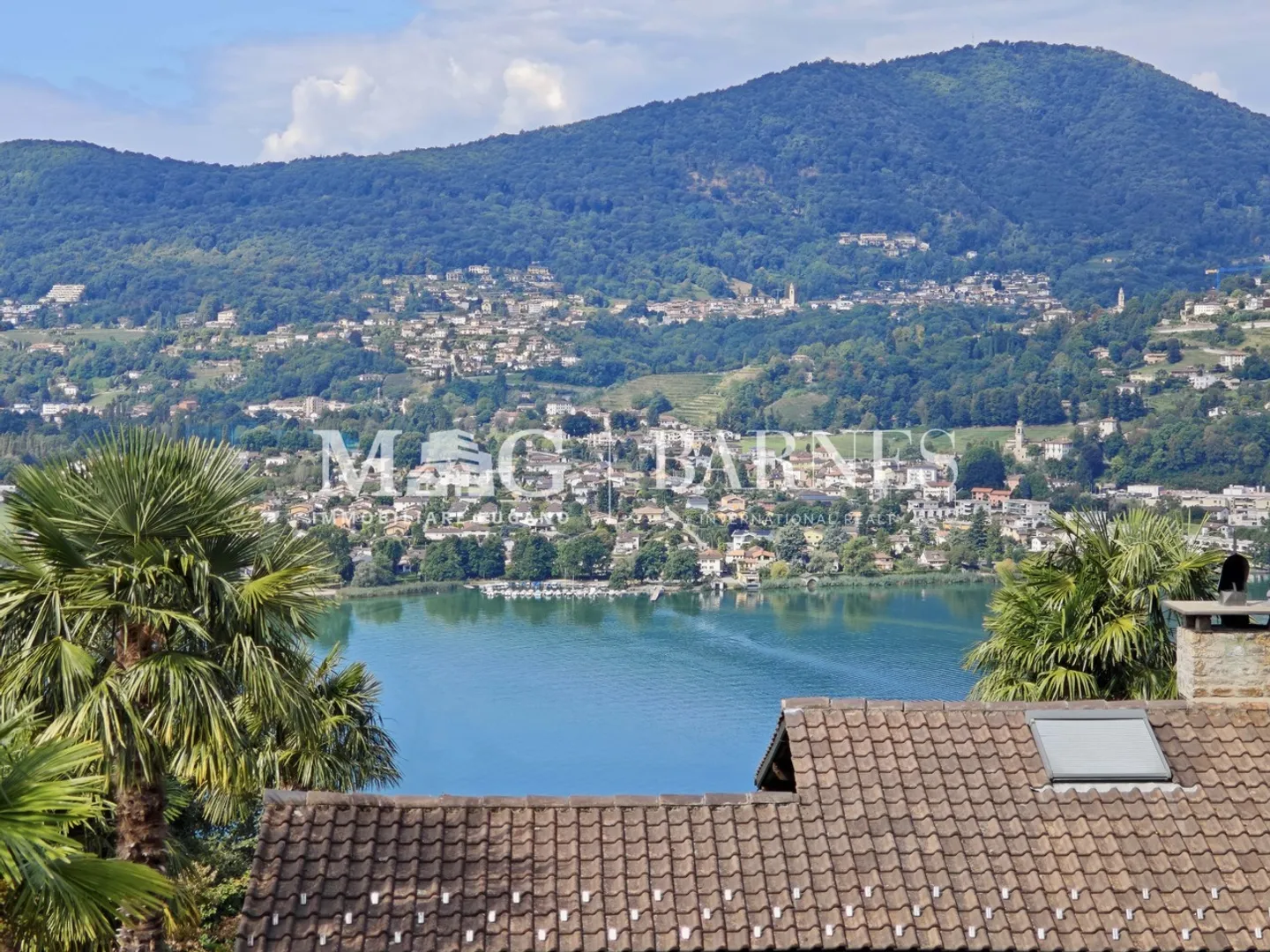Villa con piscina e vista lago - Foto 3 di 21