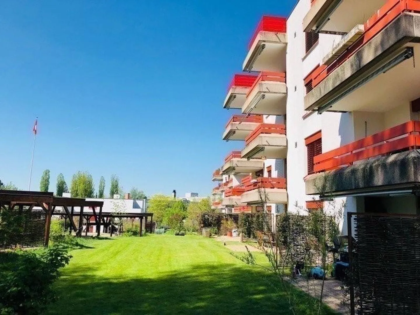 Adatto alle famiglie. Verde. Bim Hasel. - Foto 1 di 12