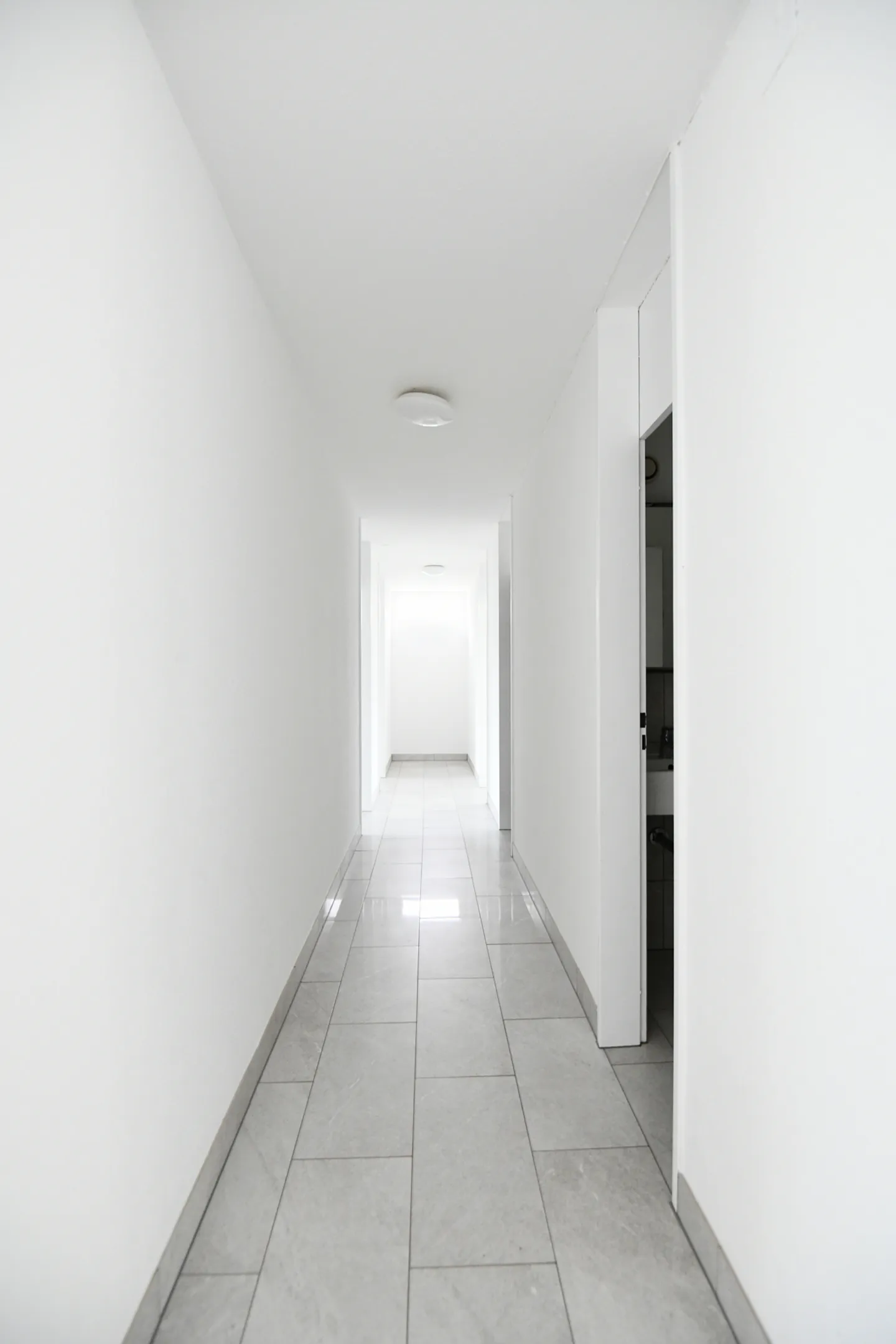 APPARTAMENTO DI PROPRIETÀ A ZOFINGEN - Foto 5 di 12