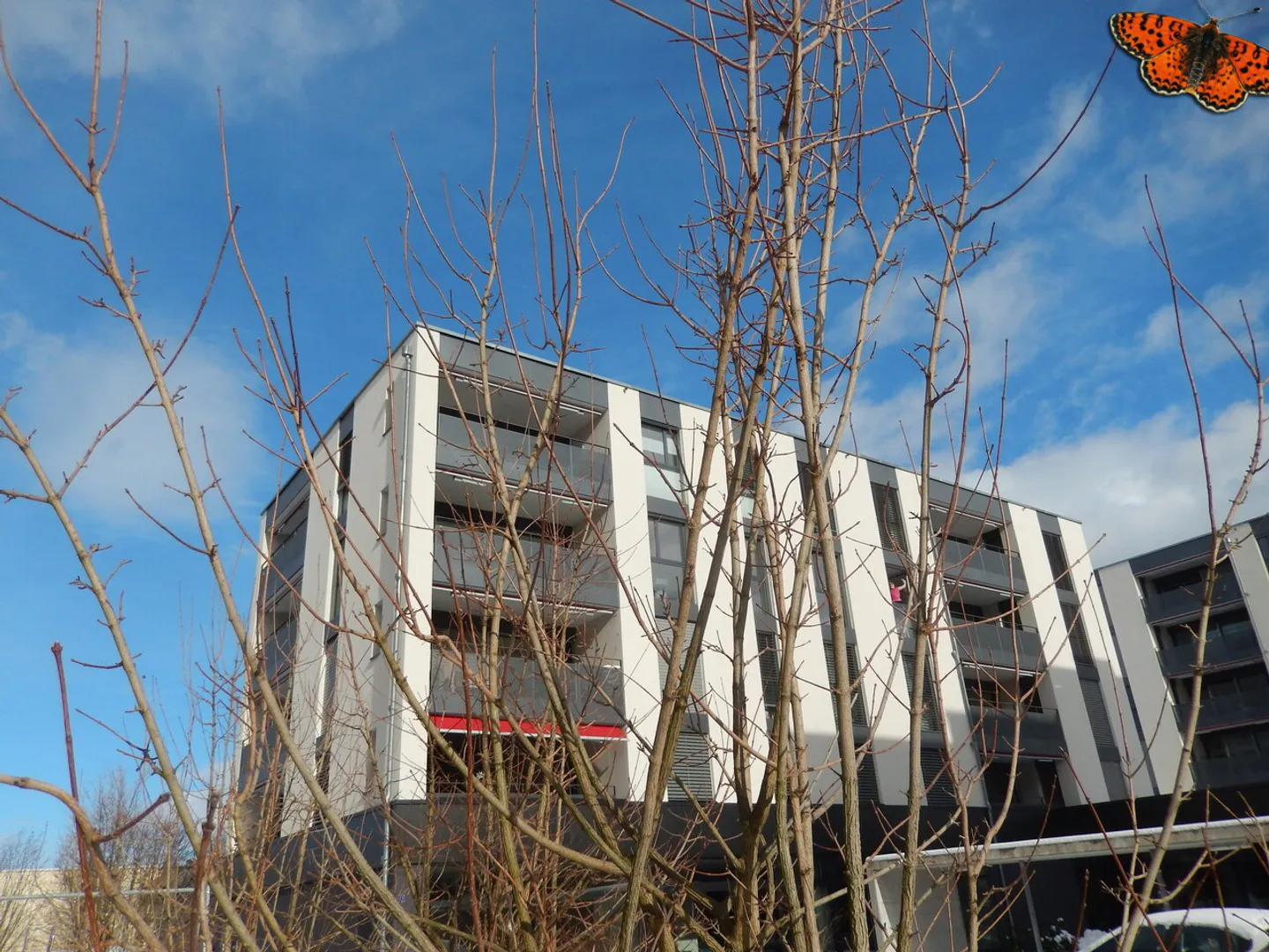 Superb 3.5-room bright apartment in Bulle - Comfort & ideal location - Photo 9 of 10