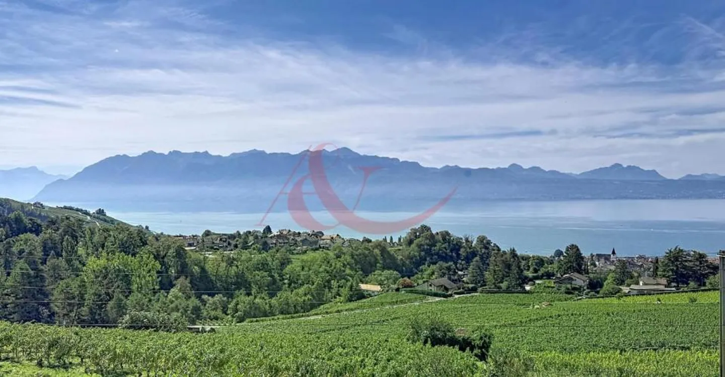 Villa moderna con vista lago - Foto 4 di 13