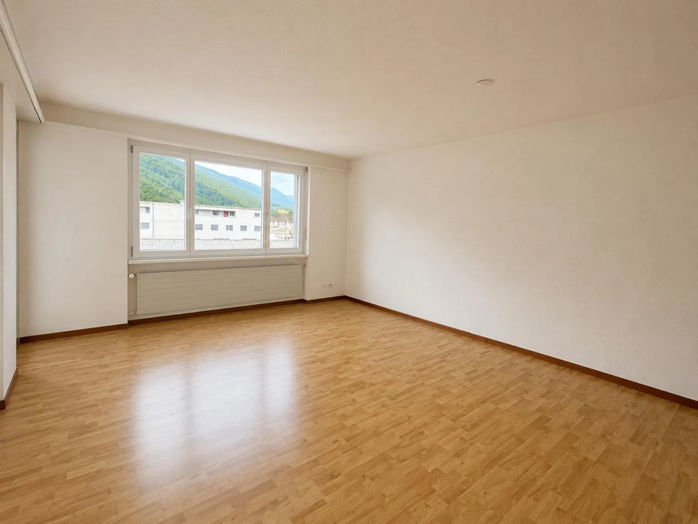 Charming 4.5-Room Apartment - Photo 4 of 11